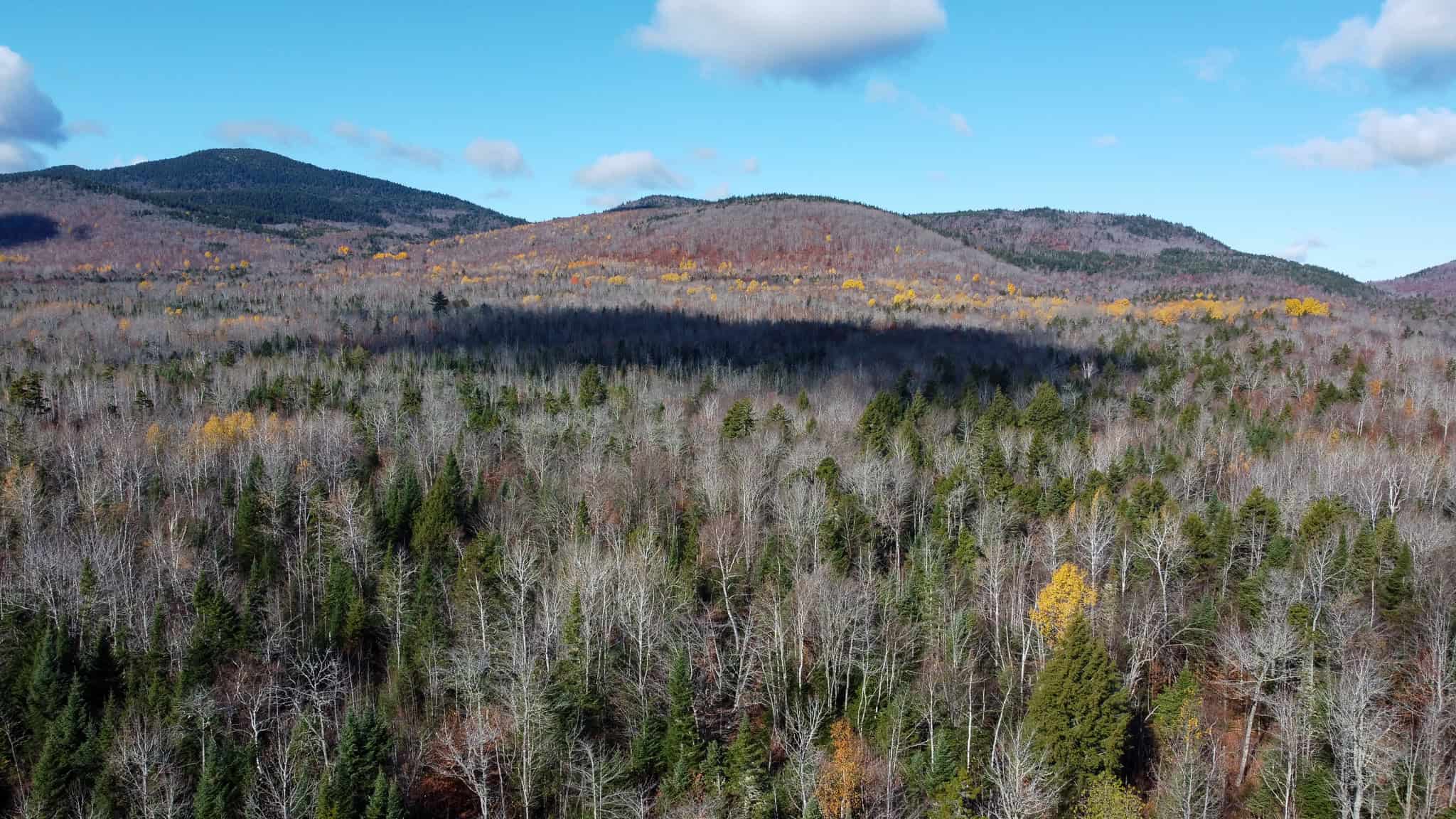 115± Acres Hunting Land with Trout Brook, Power & Paved Road Access