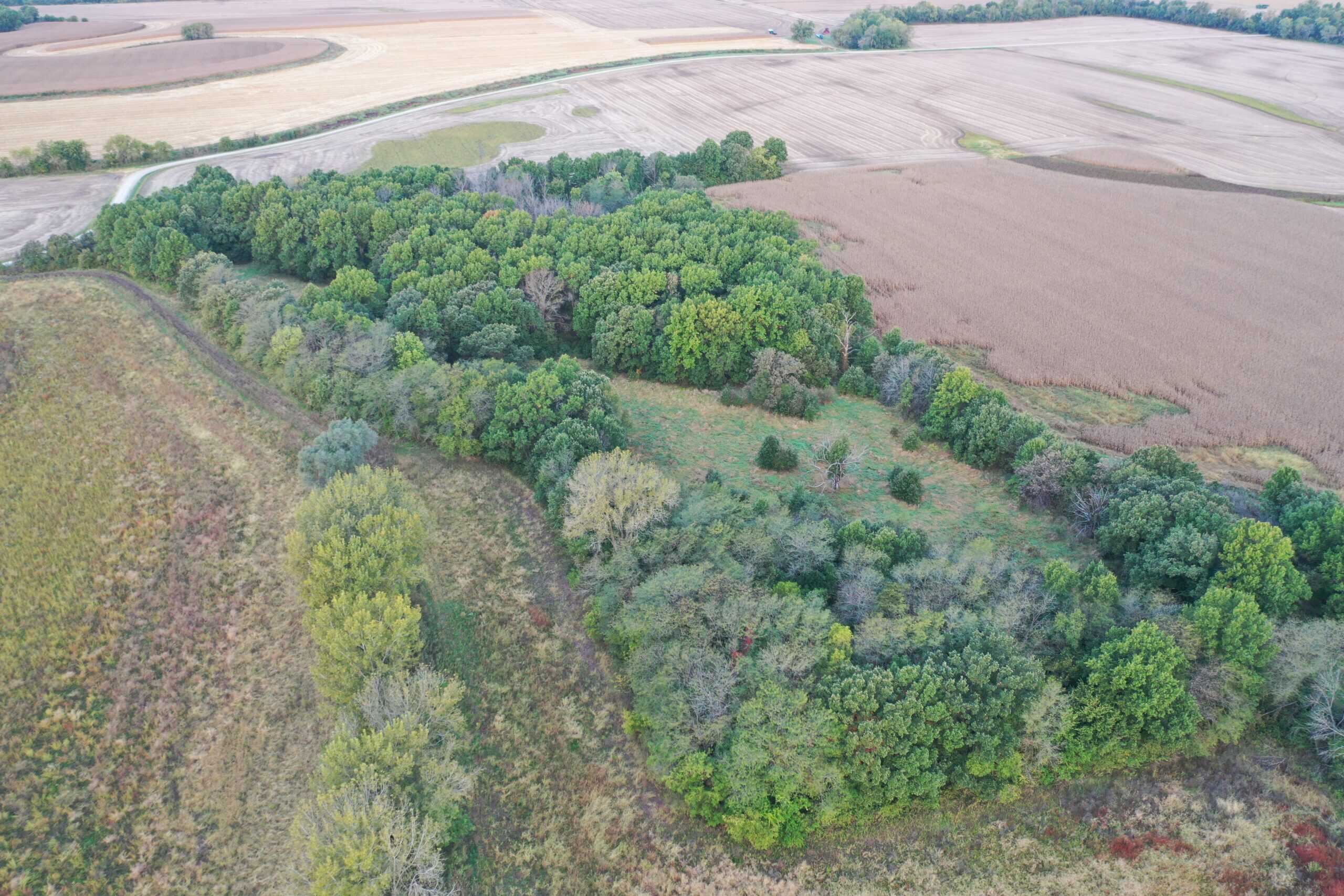 Vicki L Briggs LIVE ONLY Auction