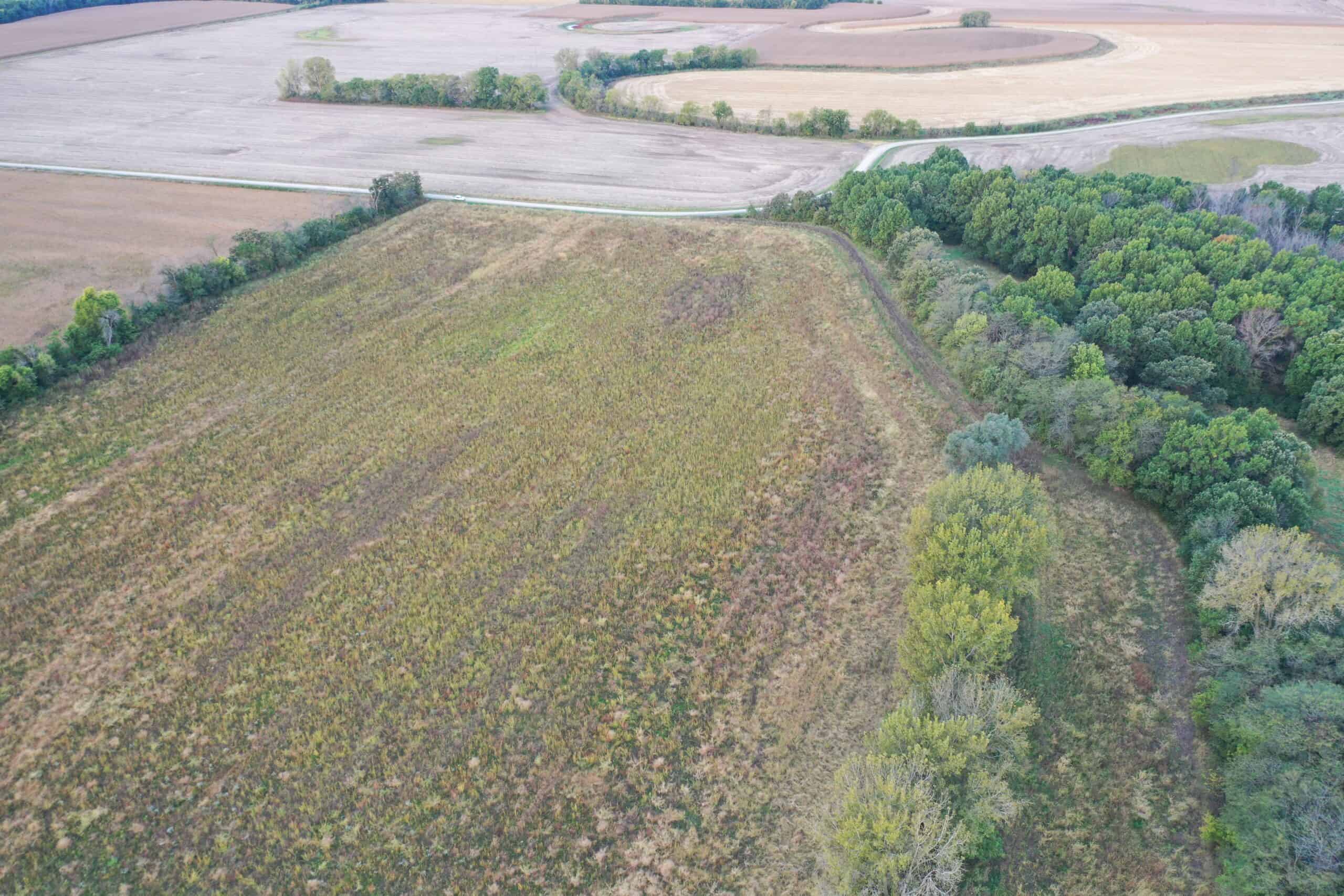 Vicki L Briggs LIVE ONLY Auction