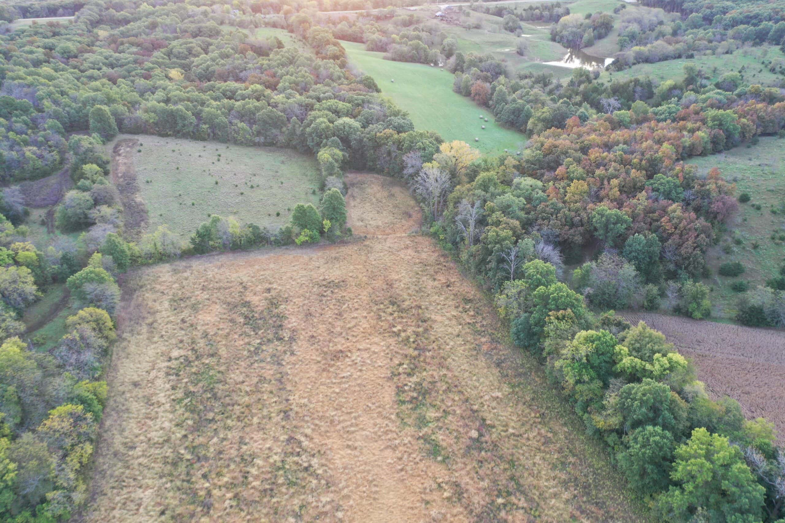 Vicki L Briggs LIVE ONLY Auction