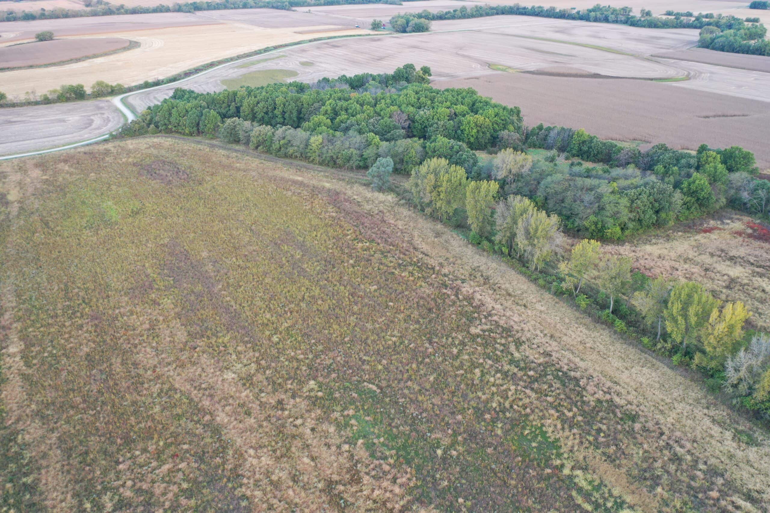 Vicki L Briggs LIVE ONLY Auction