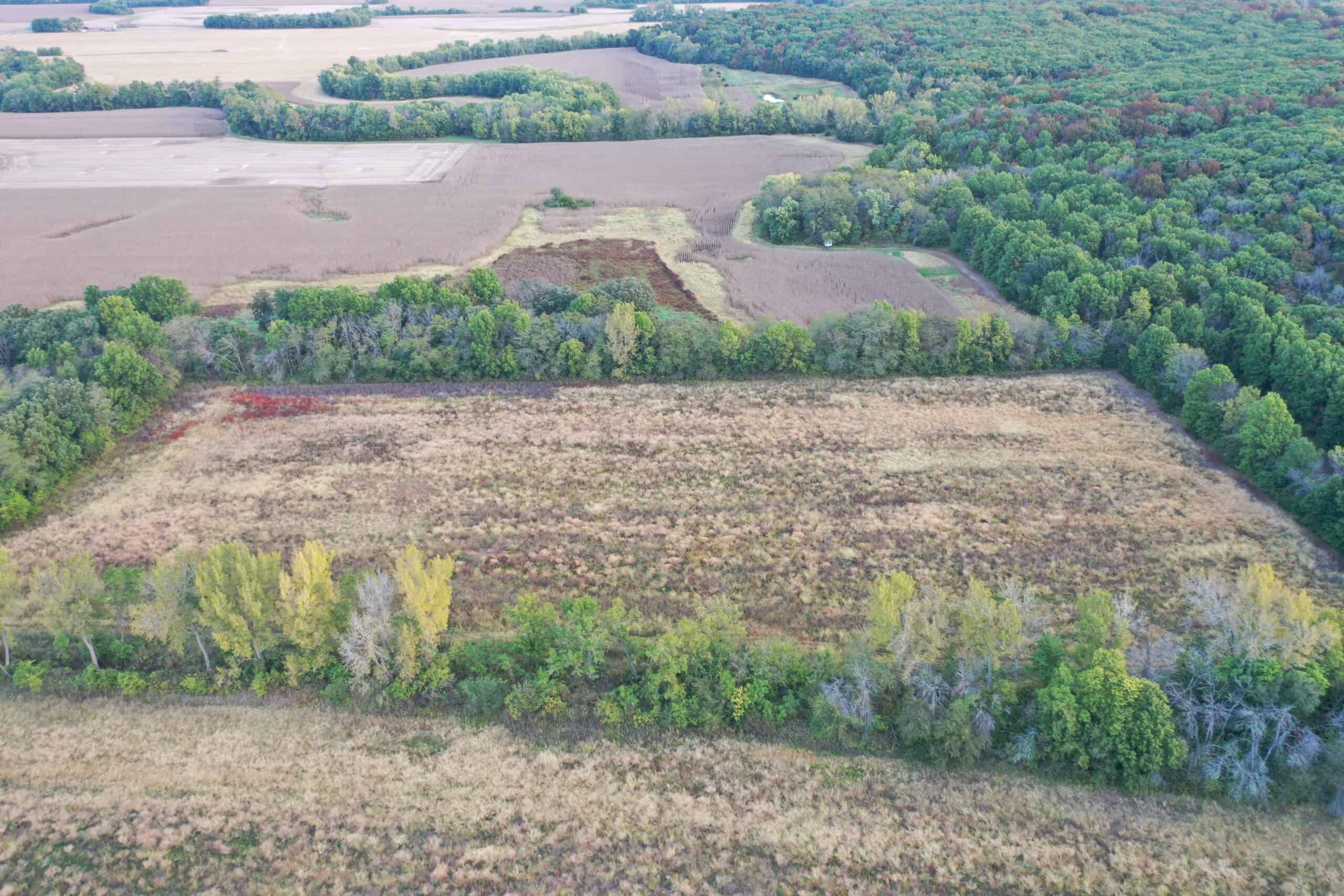 Vicki L Briggs LIVE ONLY Auction