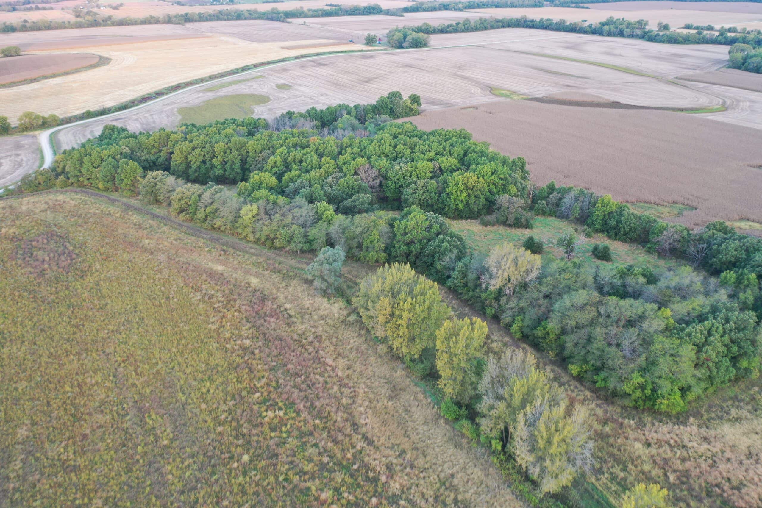 Vicki L Briggs LIVE ONLY Auction