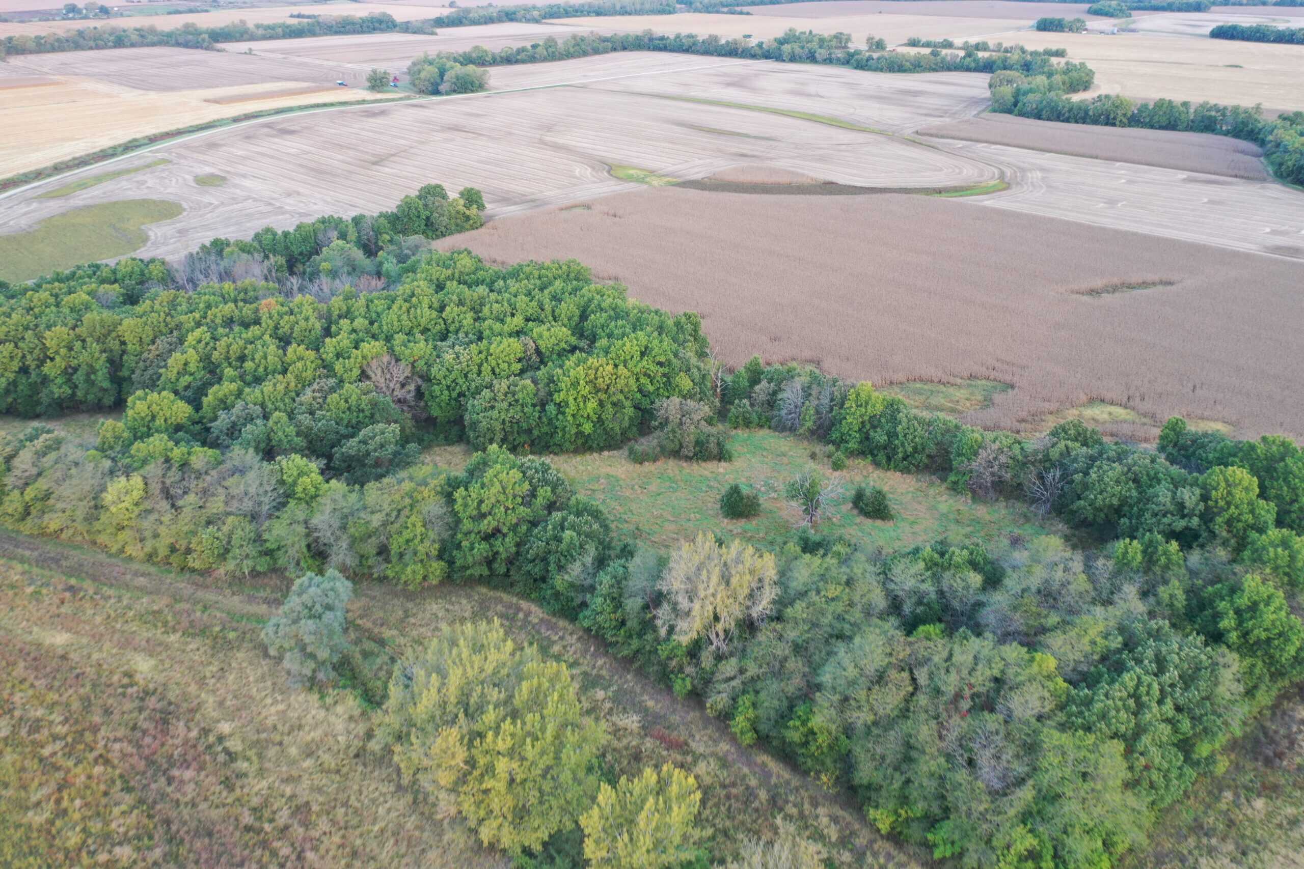 Vicki L Briggs LIVE ONLY Auction