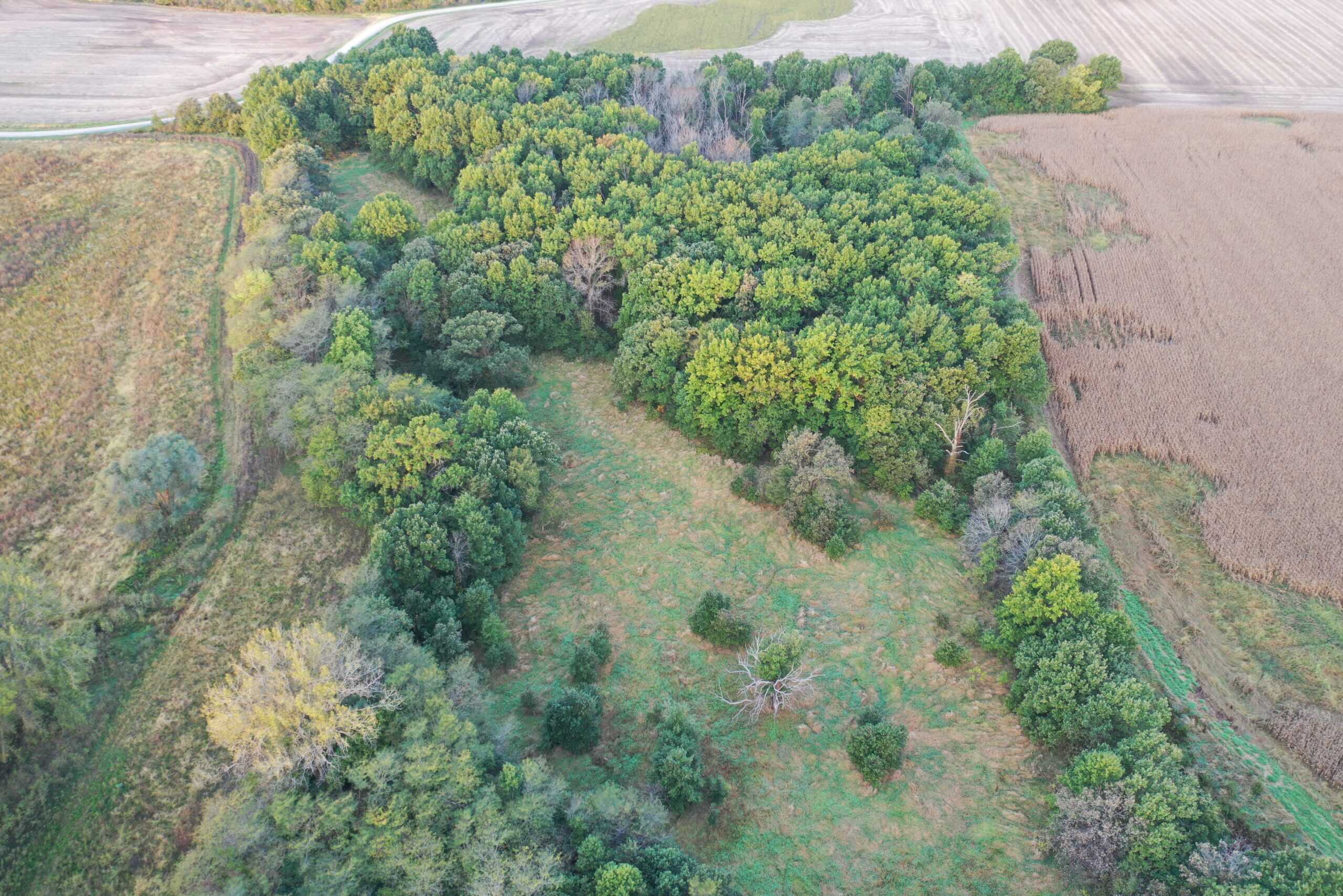 Vicki L Briggs LIVE ONLY Auction