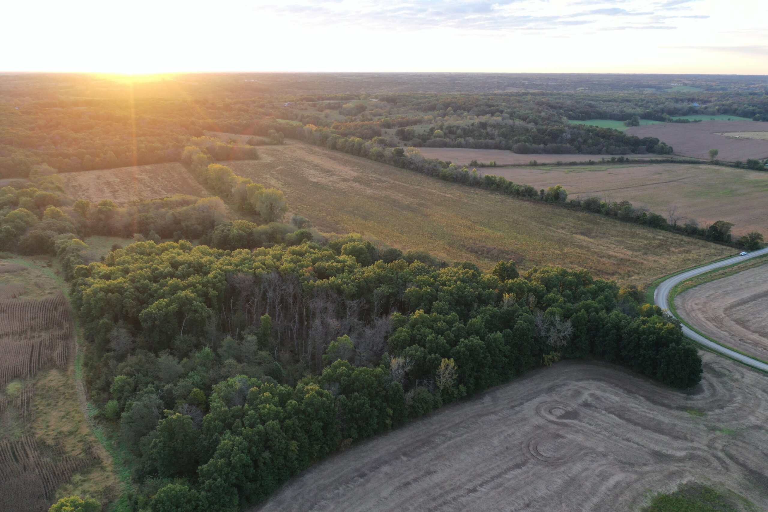 Vicki L Briggs LIVE ONLY Auction