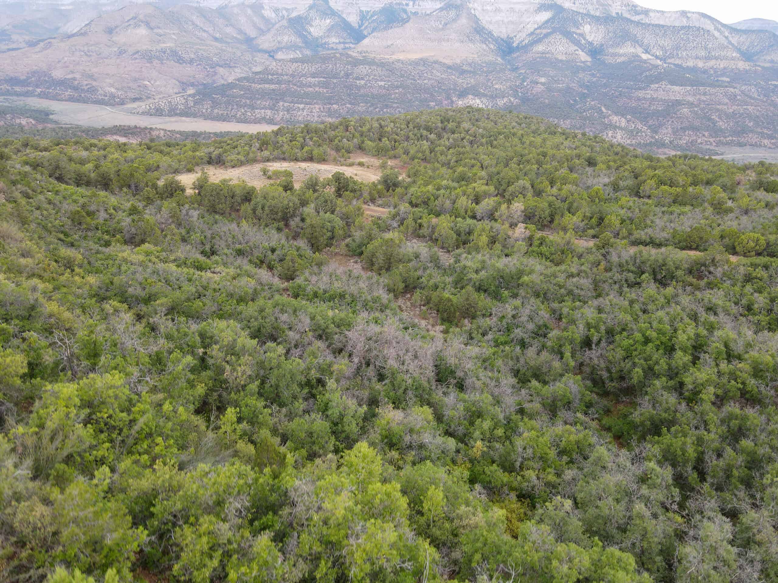 Secluded Colorado Hunting Retreat in GMU #31