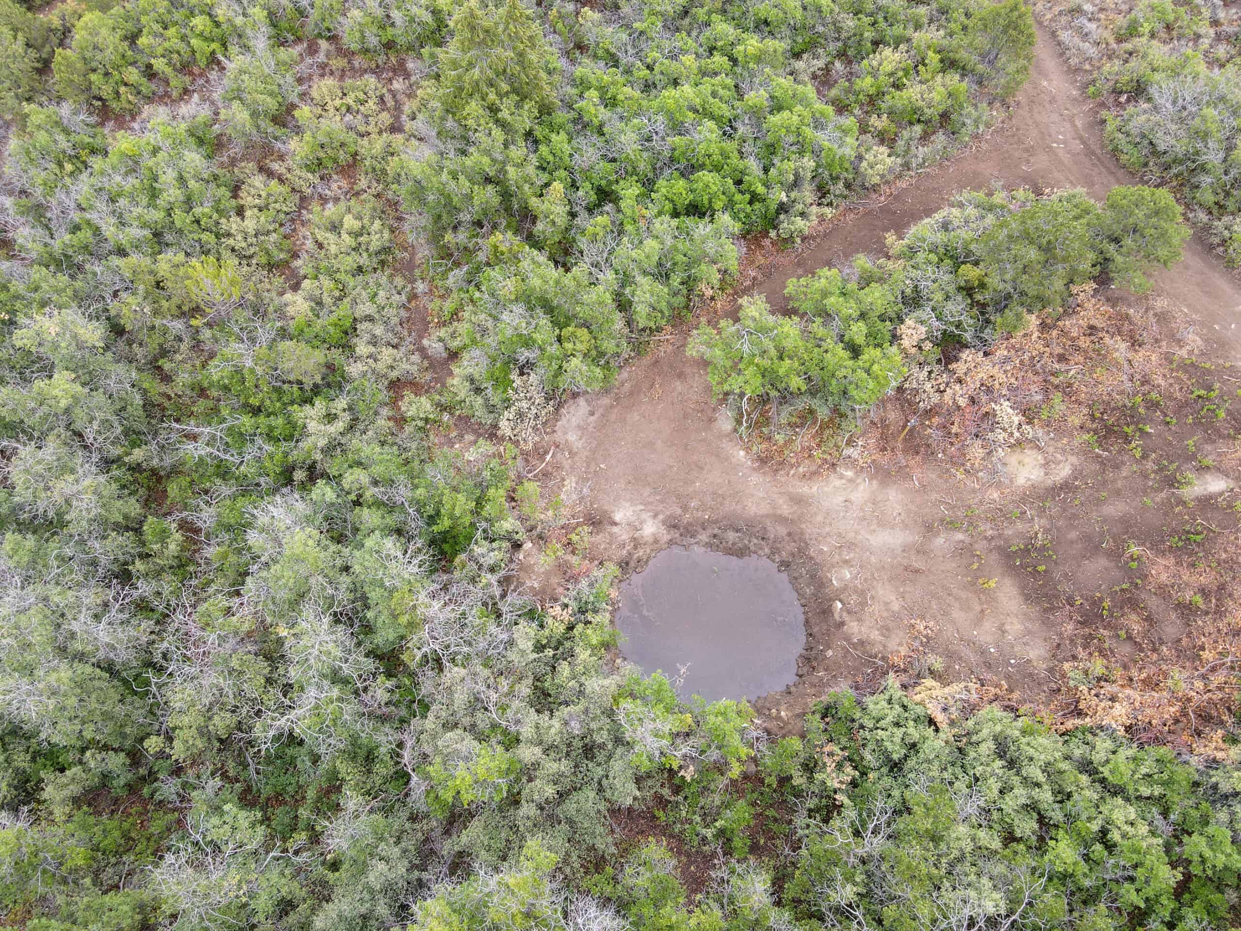 Secluded Colorado Hunting Retreat in GMU #31