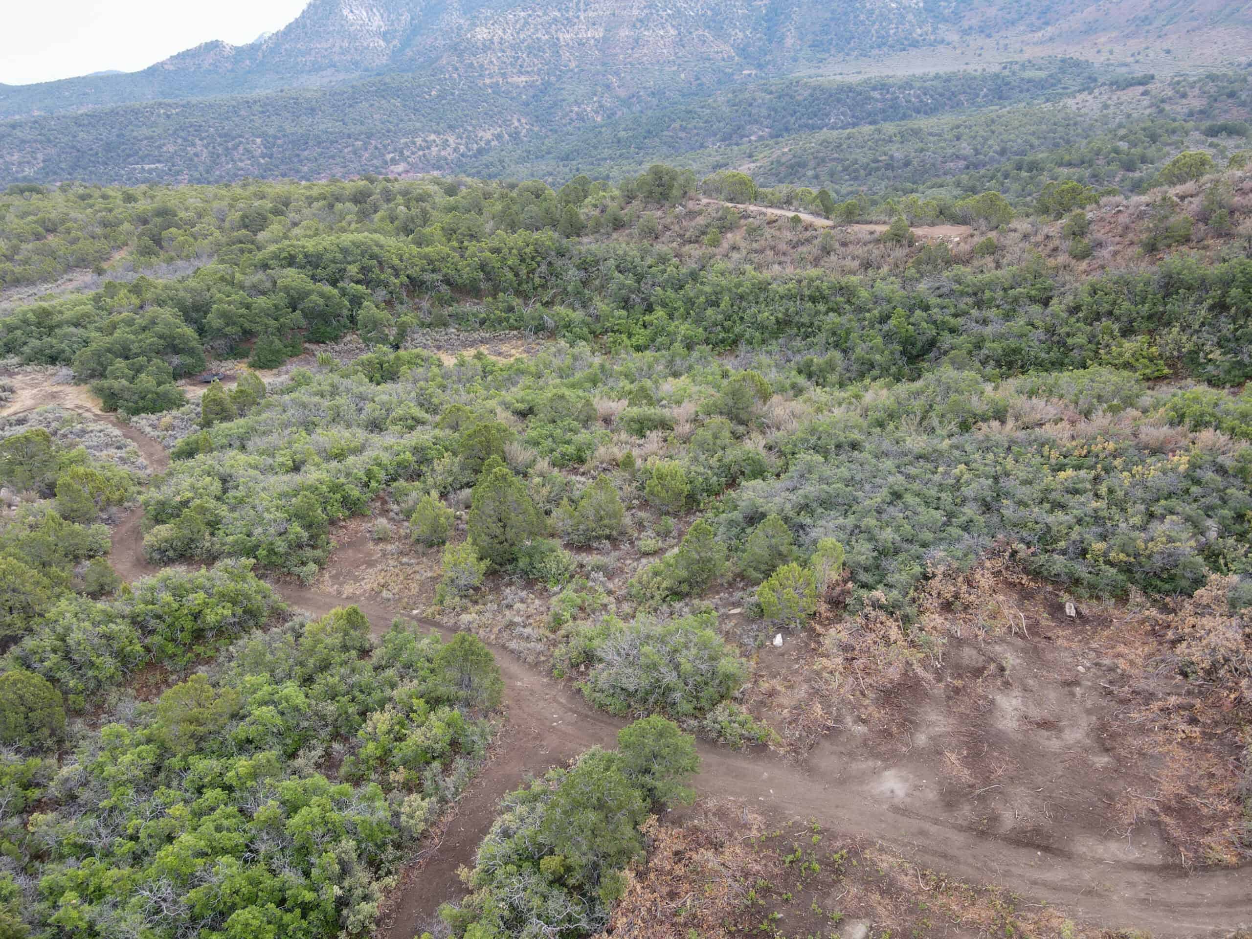 Secluded Colorado Hunting Retreat in GMU #31