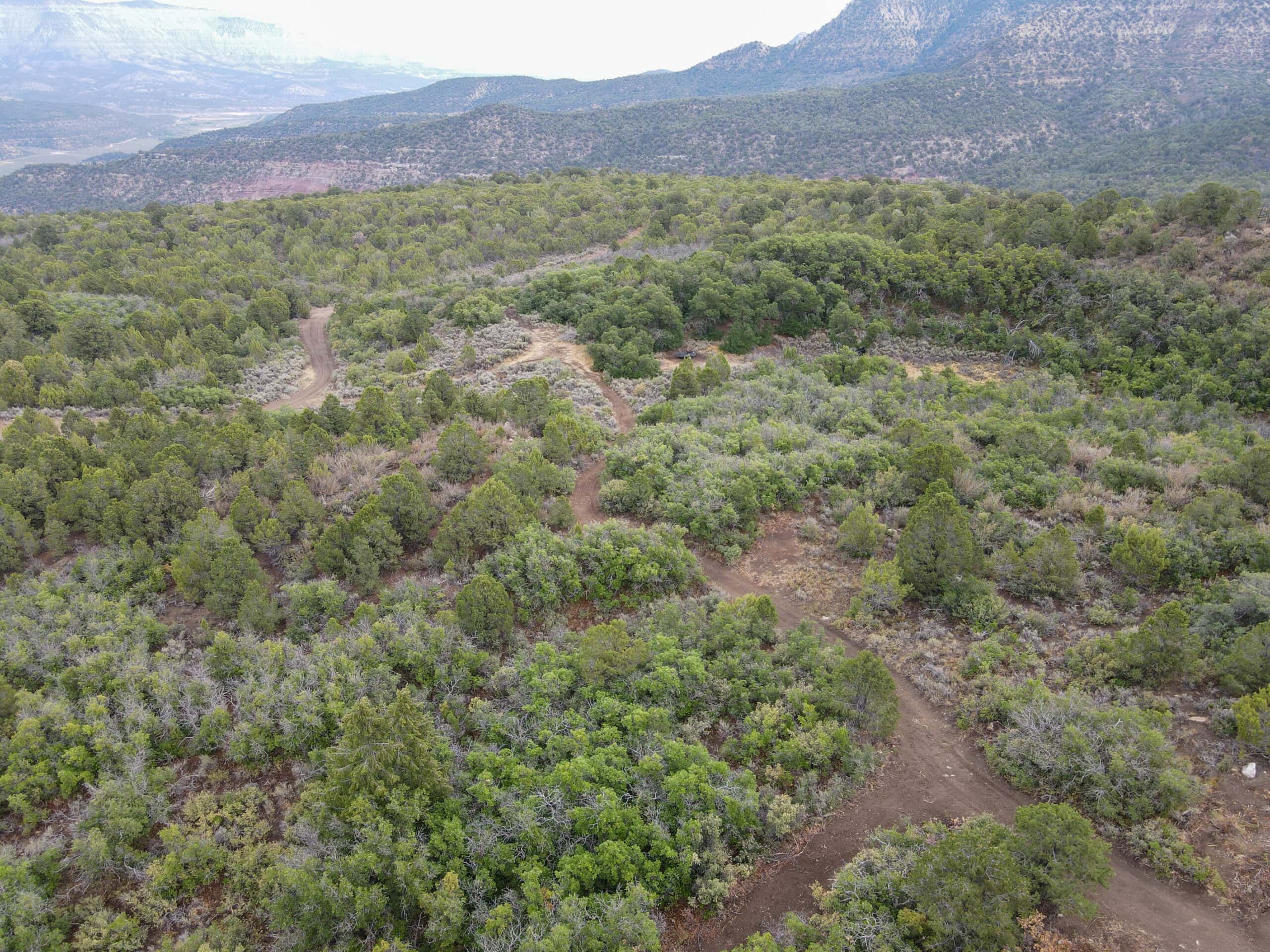 Secluded Colorado Hunting Retreat in GMU #31