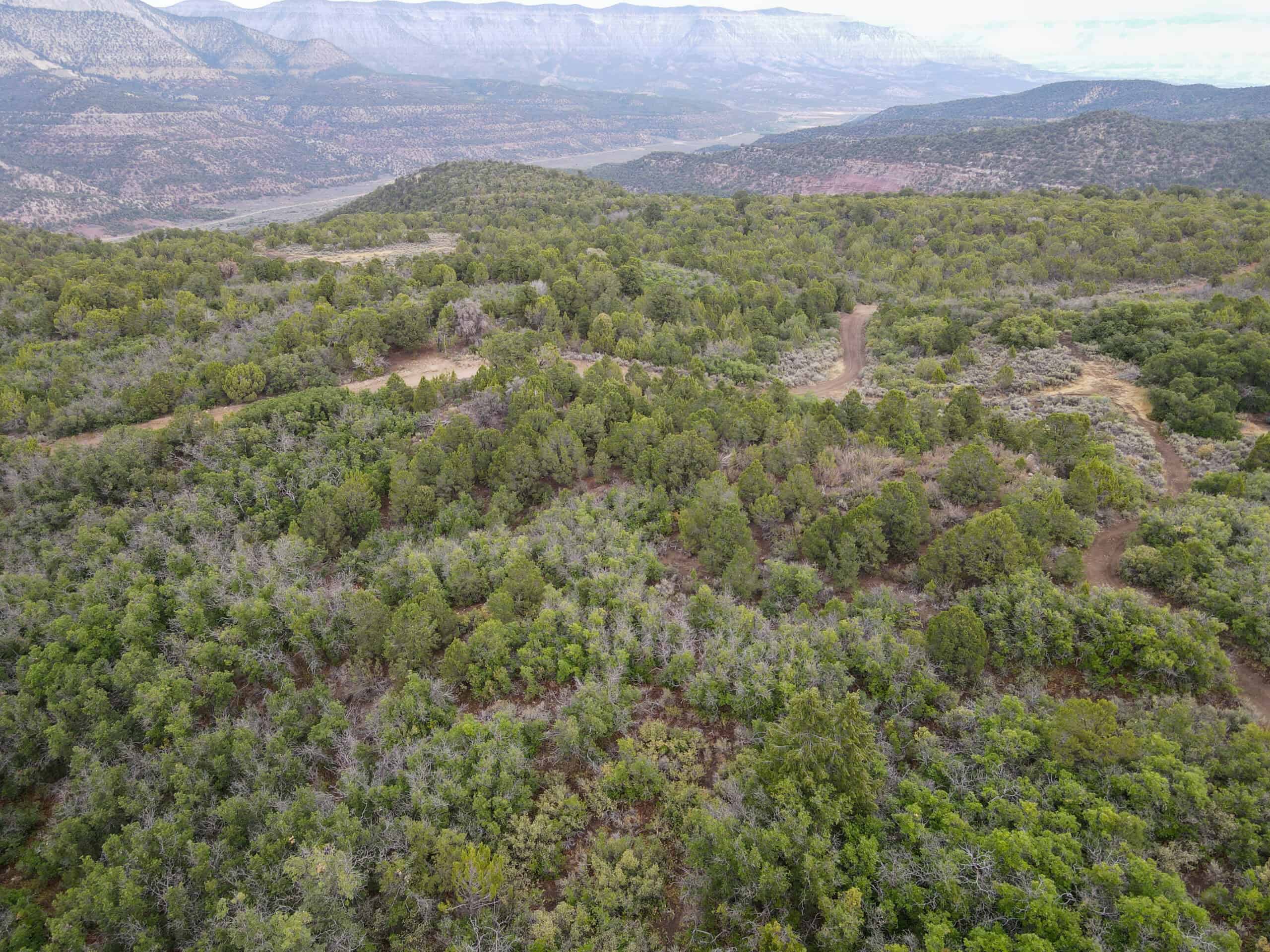 Secluded Colorado Hunting Retreat in GMU #31