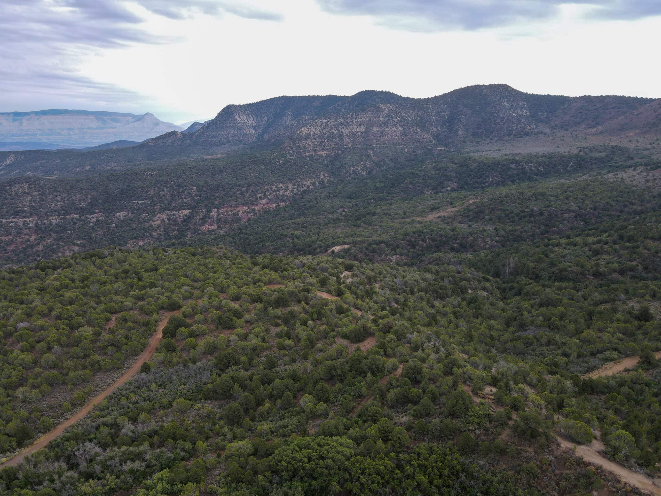 Secluded Colorado Hunting Retreat in GMU #31