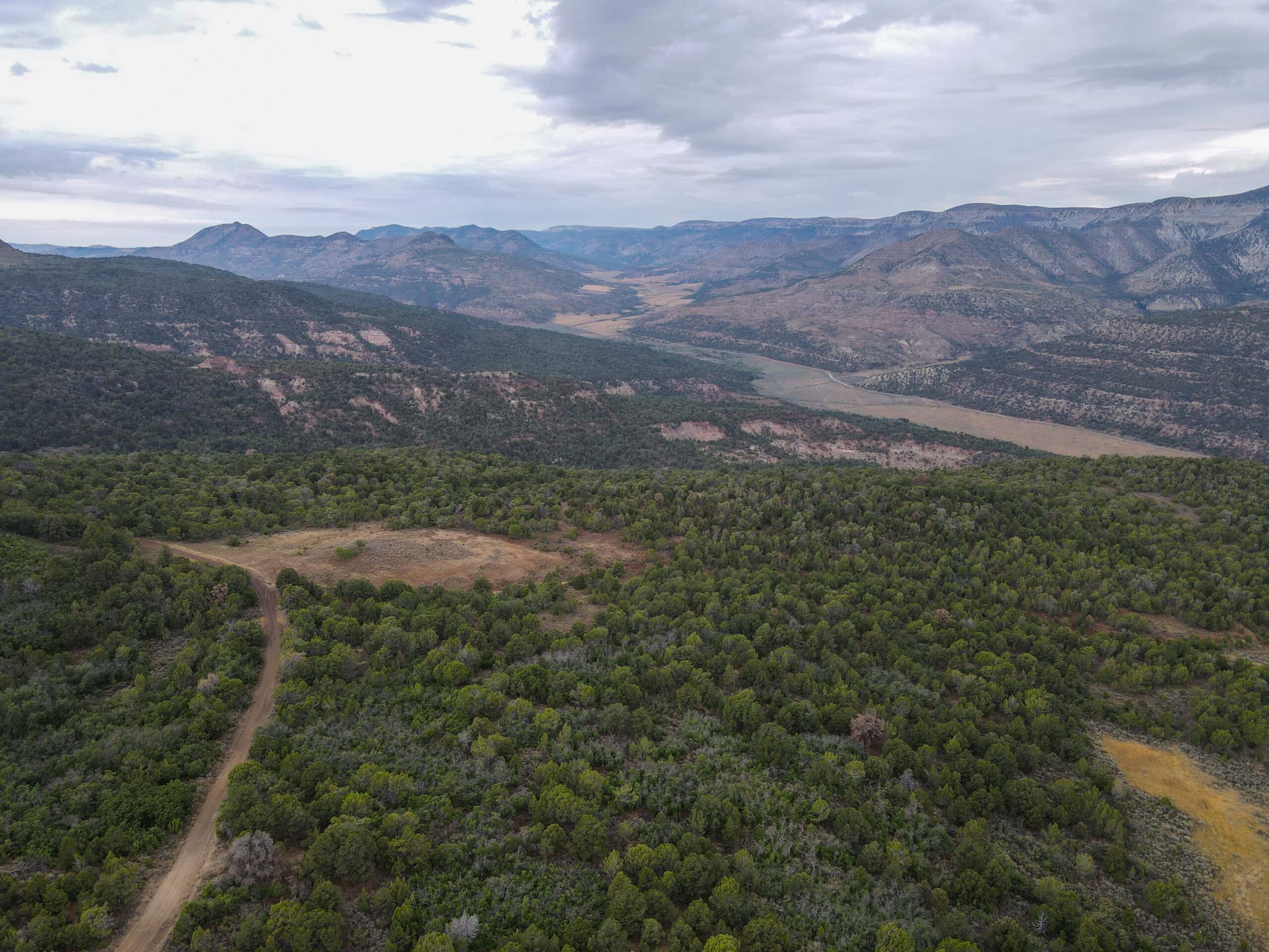 Secluded Colorado Hunting Retreat in GMU #31