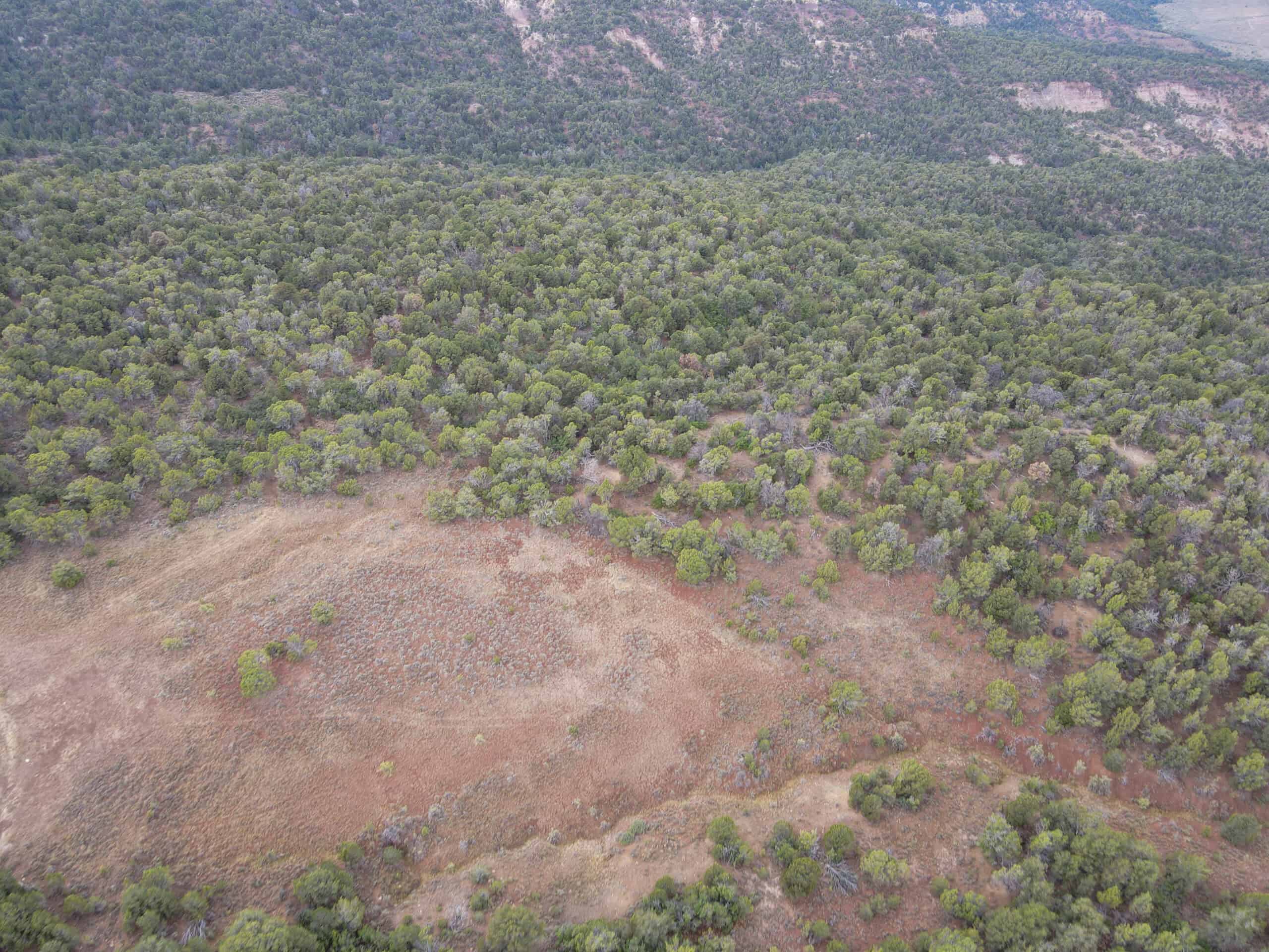 Secluded Colorado Hunting Retreat in GMU #31