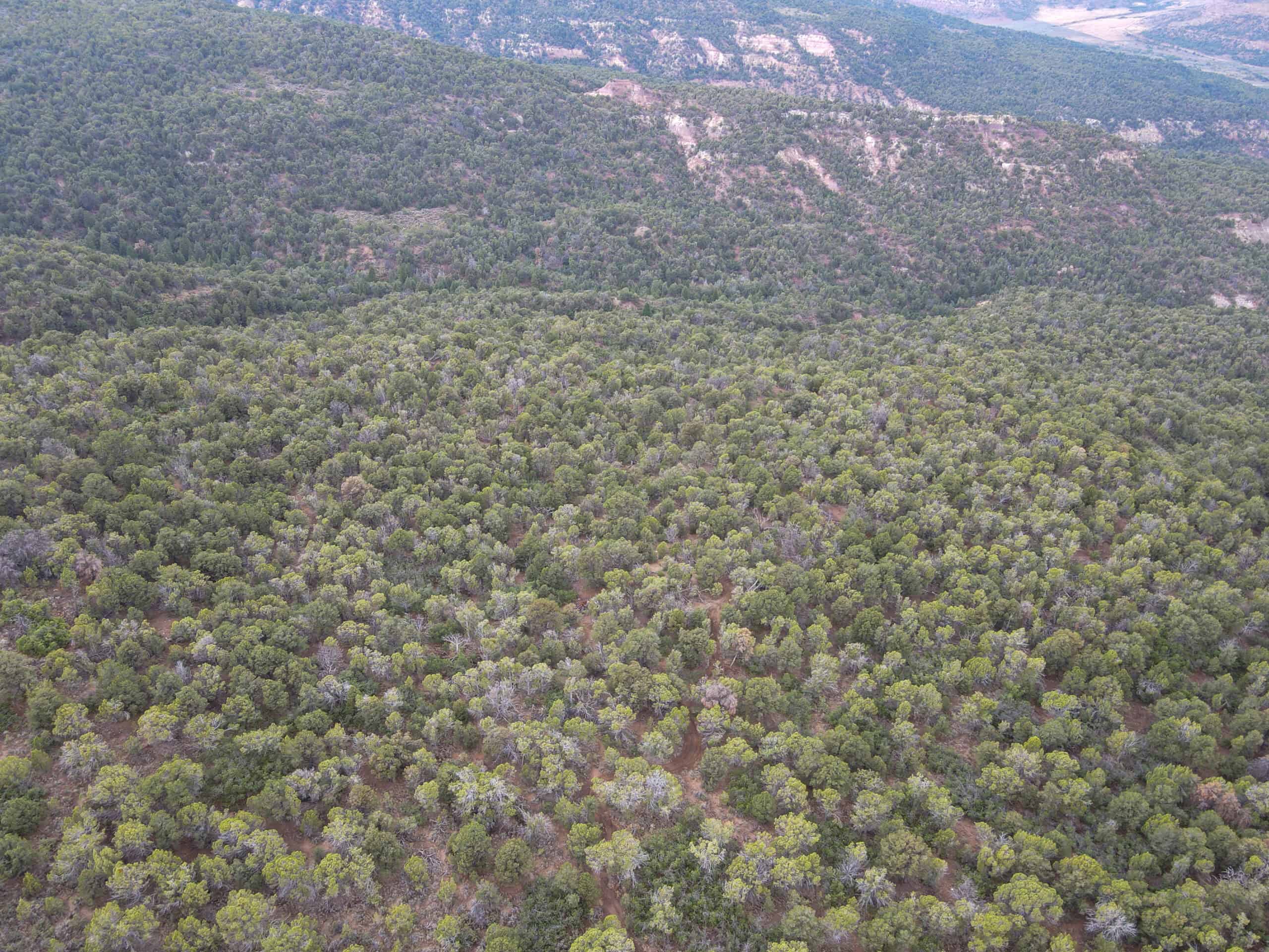 Secluded Colorado Hunting Retreat in GMU #31