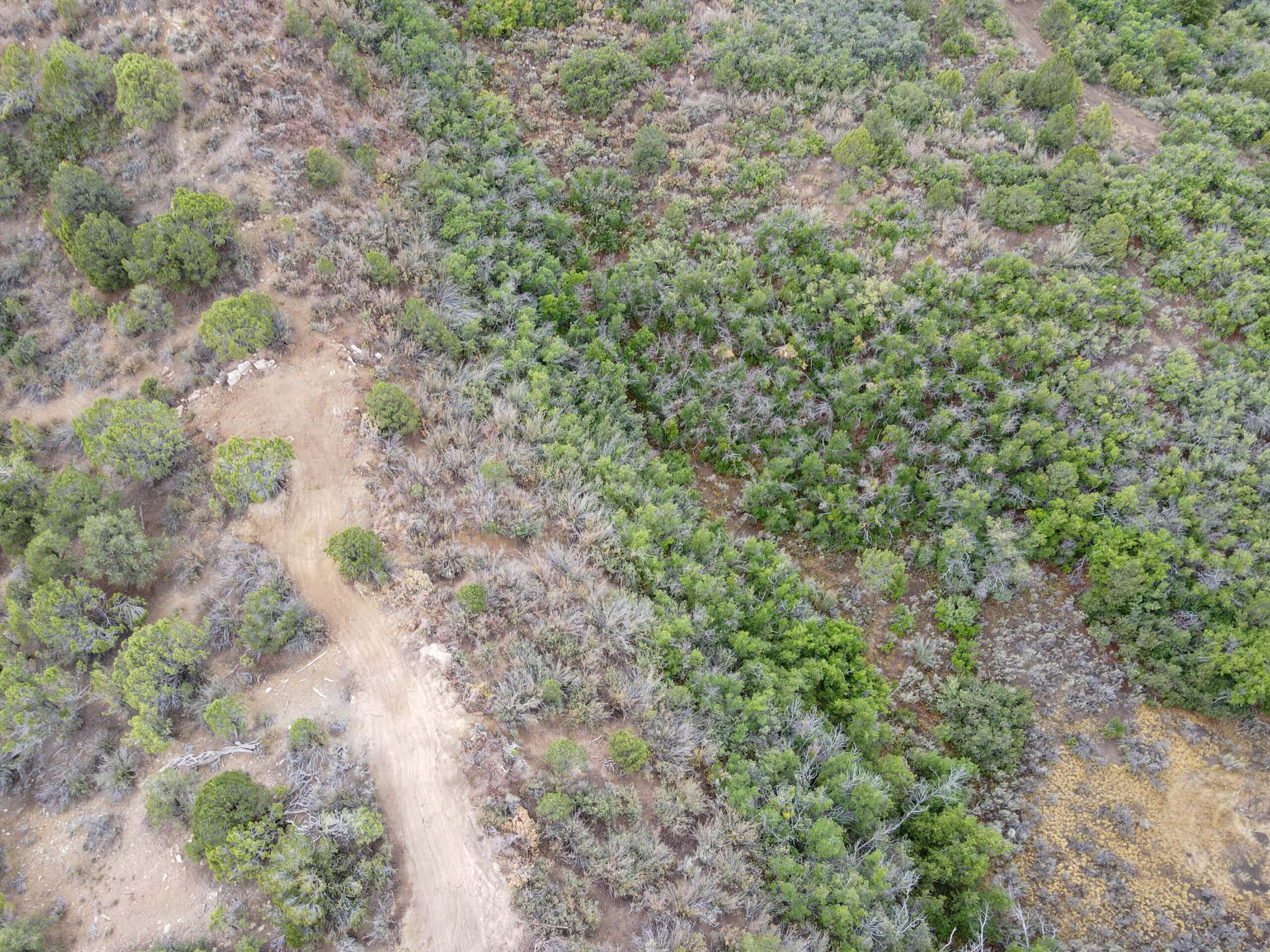 Secluded Colorado Hunting Retreat in GMU #31