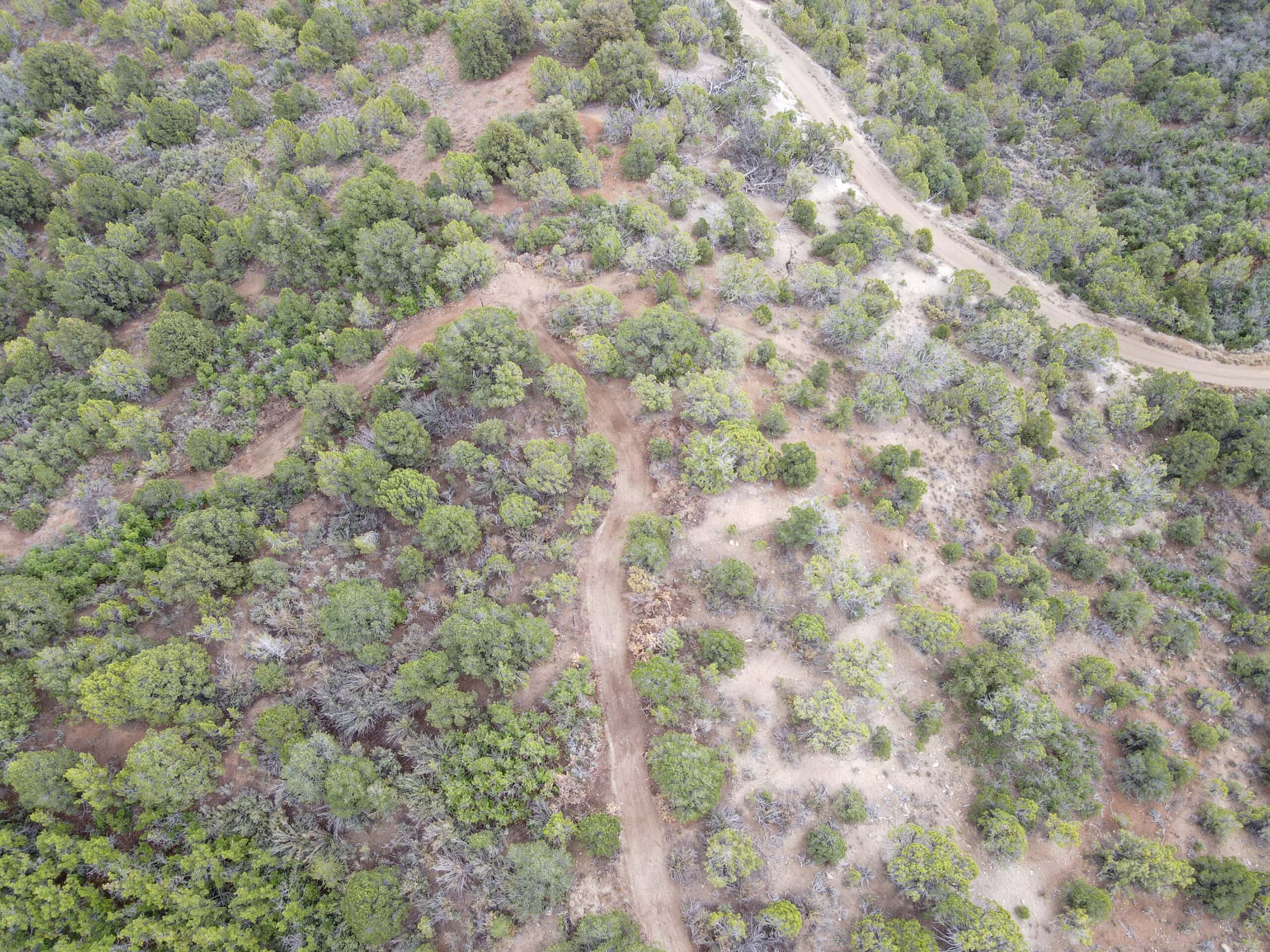 Secluded Colorado Hunting Retreat in GMU #31