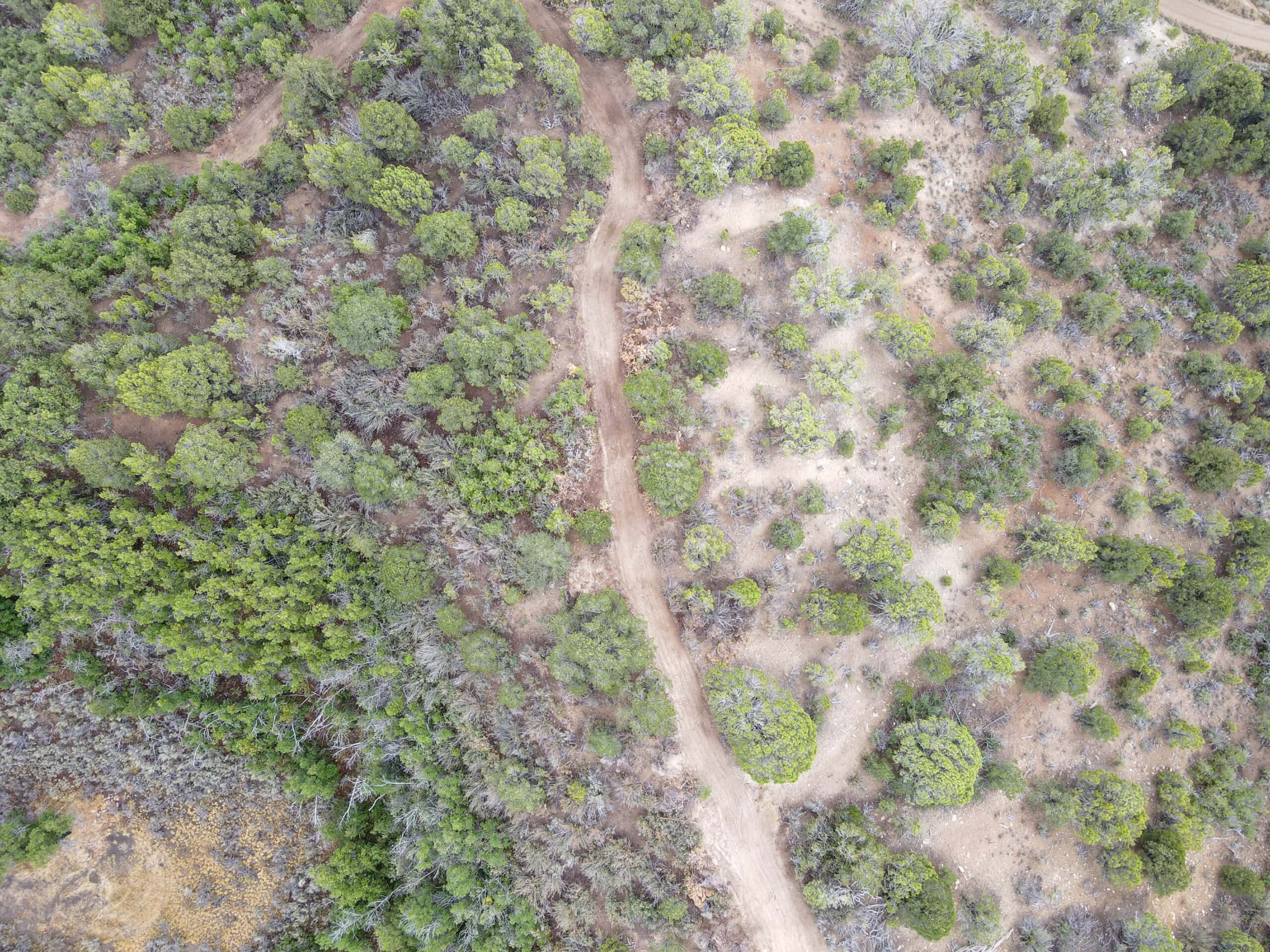 Secluded Colorado Hunting Retreat in GMU #31