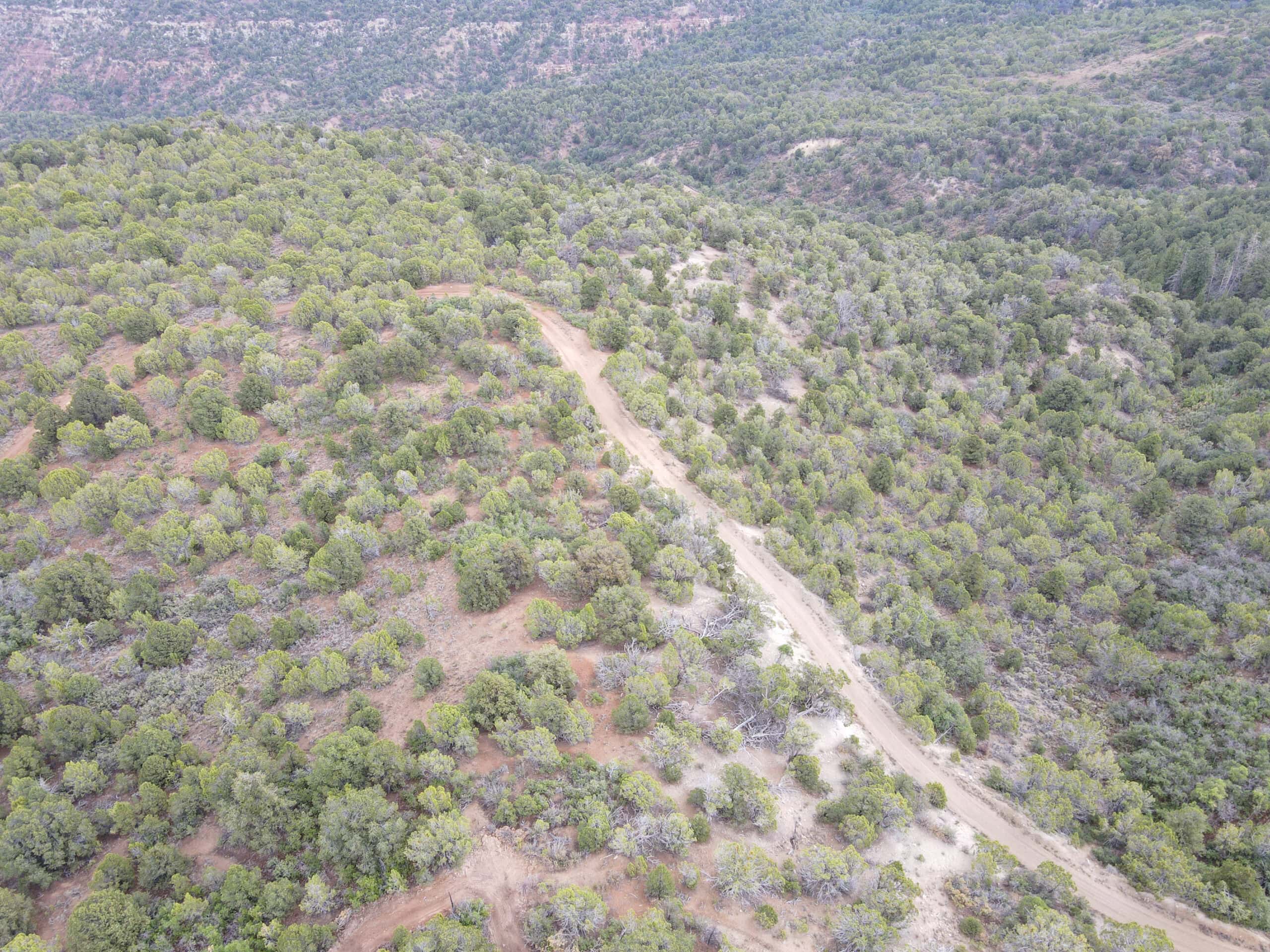 Secluded Colorado Hunting Retreat in GMU #31