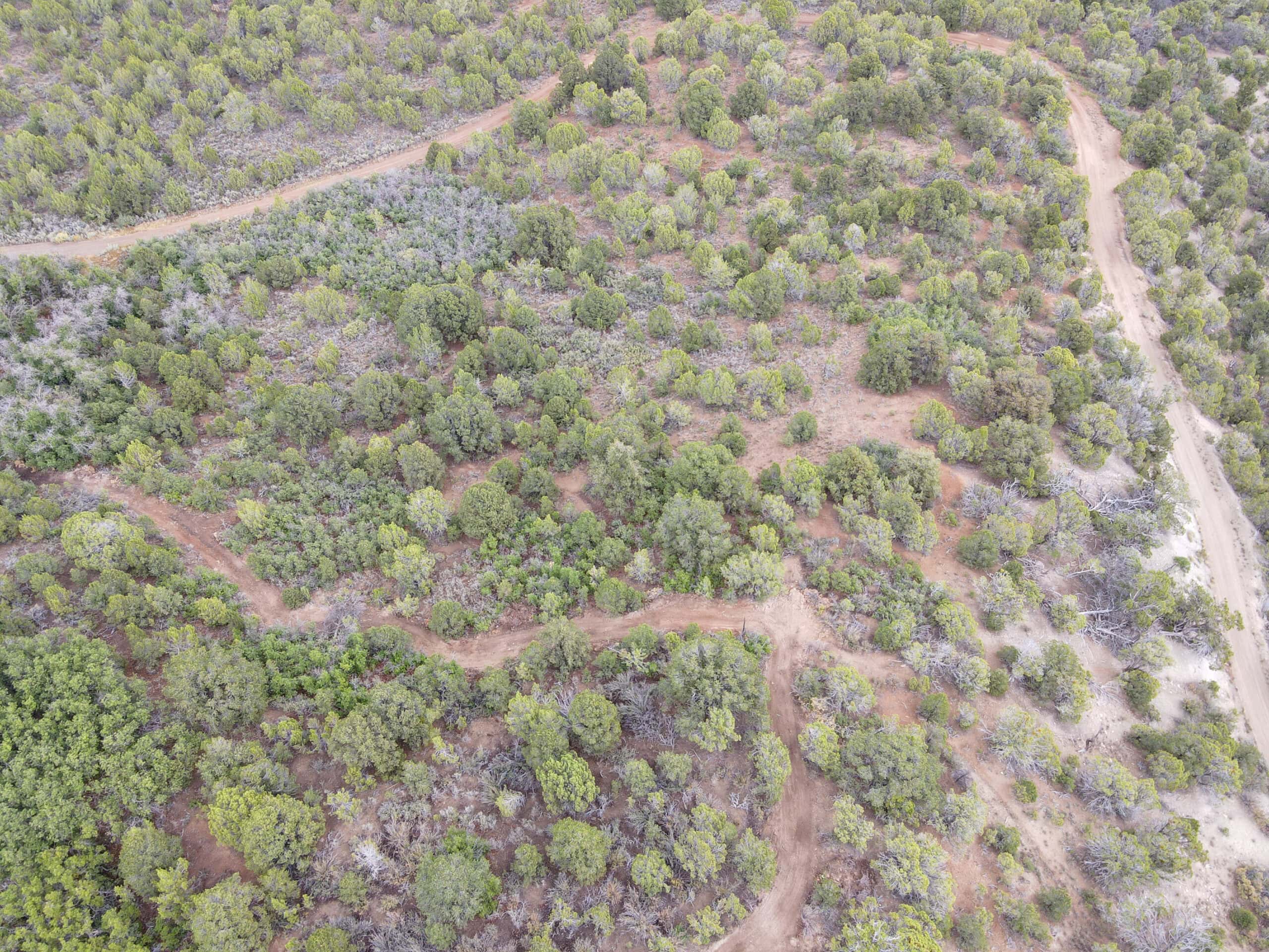 Secluded Colorado Hunting Retreat in GMU #31