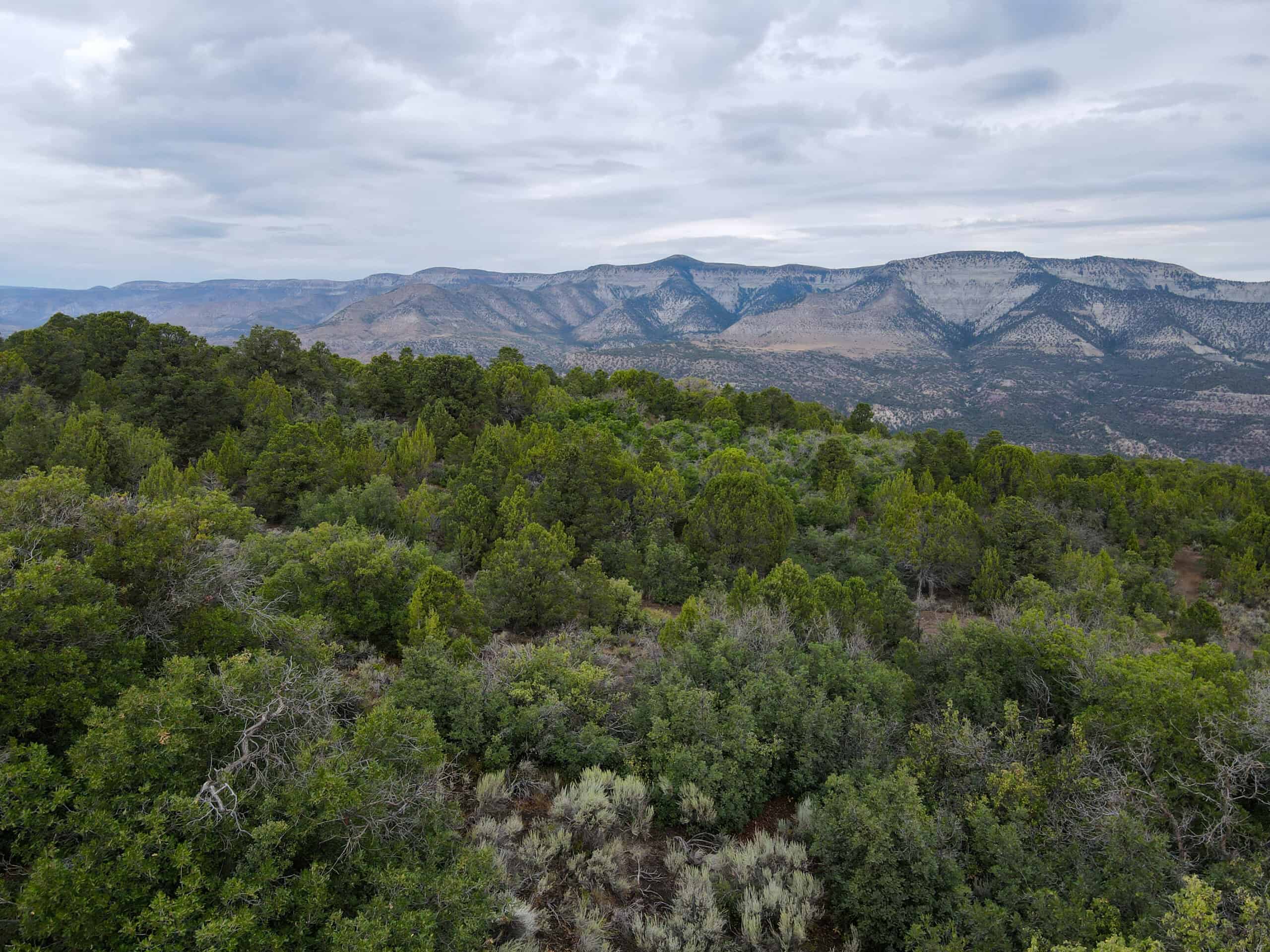 Secluded Colorado Hunting Retreat in GMU #31