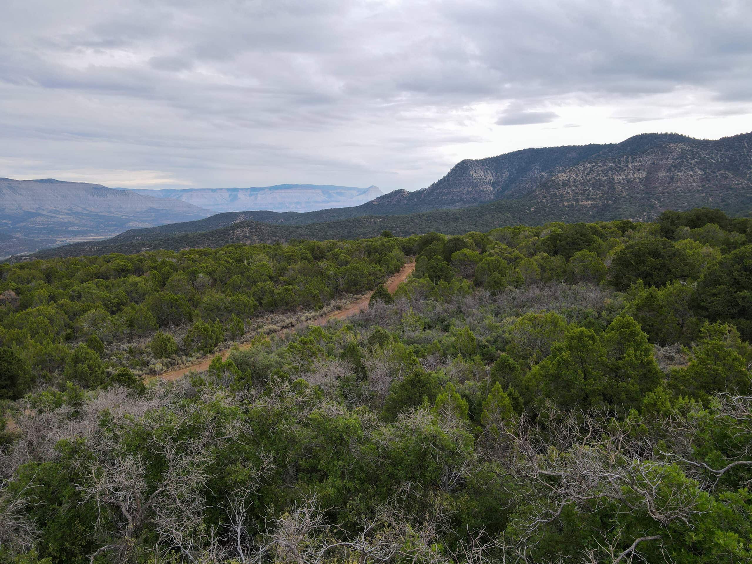 Secluded Colorado Hunting Retreat in GMU #31