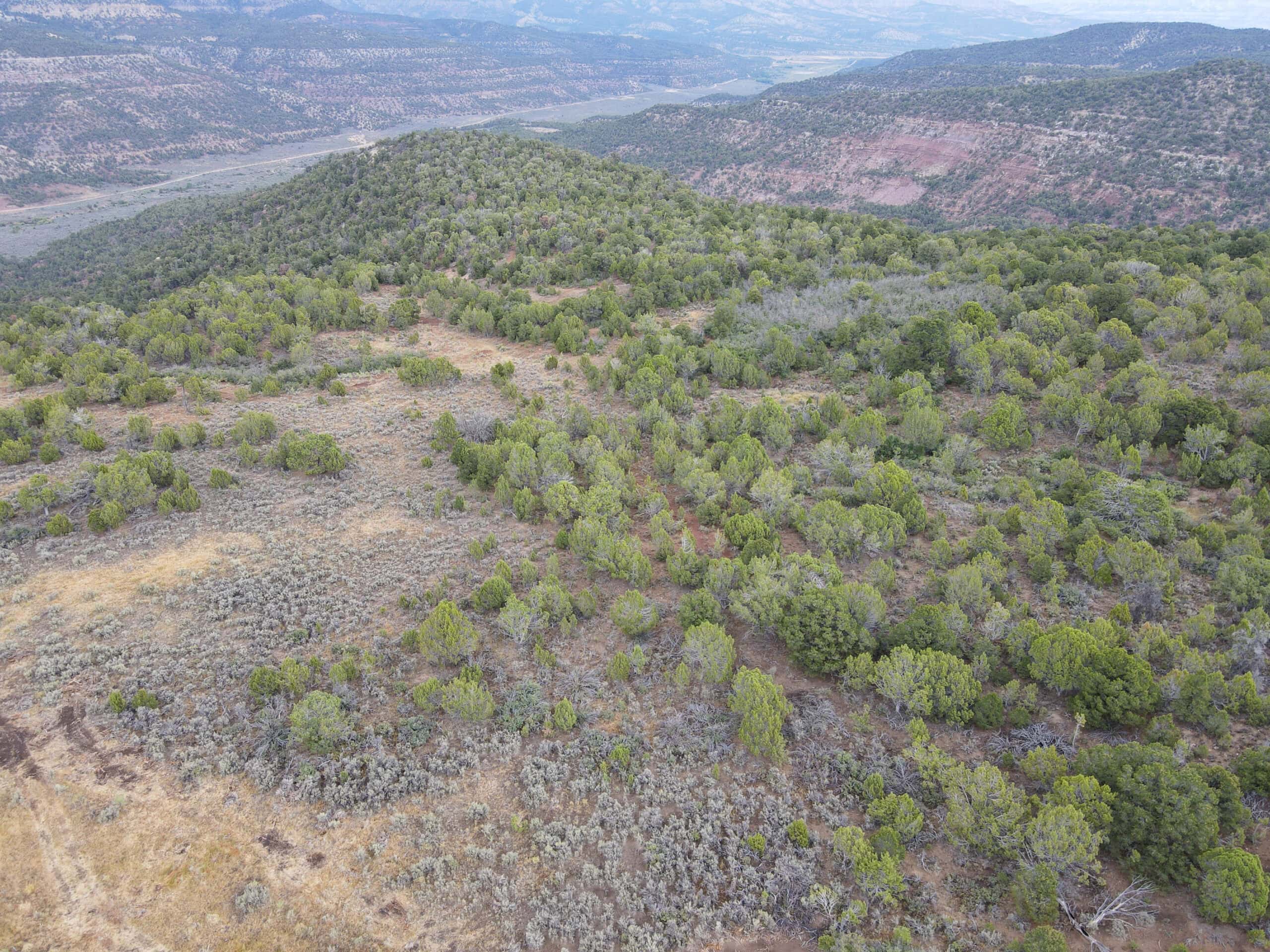 Secluded Colorado Hunting Retreat in GMU #31