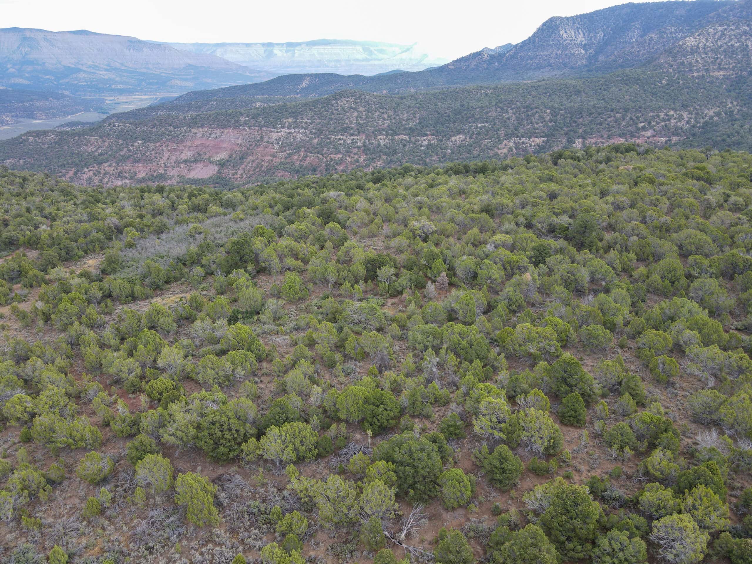 Secluded Colorado Hunting Retreat in GMU #31