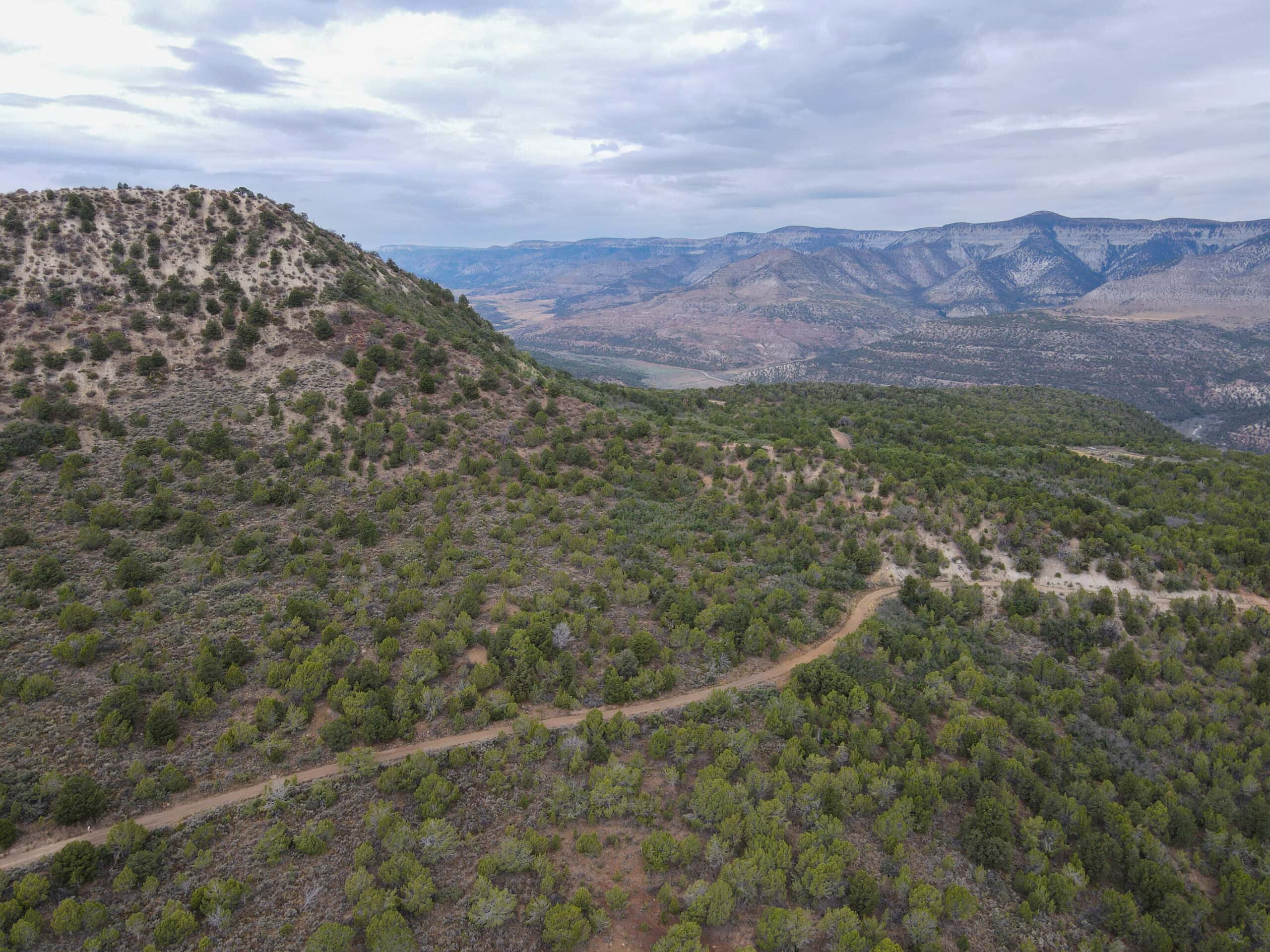 Secluded Colorado Hunting Retreat in GMU #31