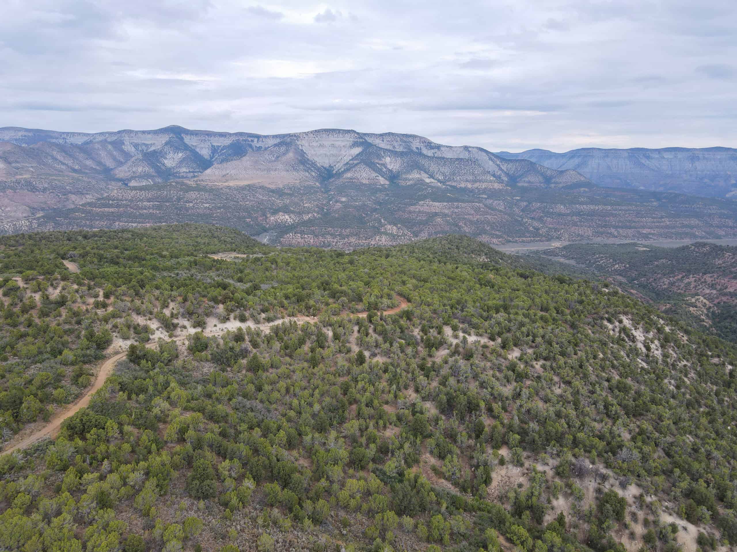 Secluded Colorado Hunting Retreat in GMU #31