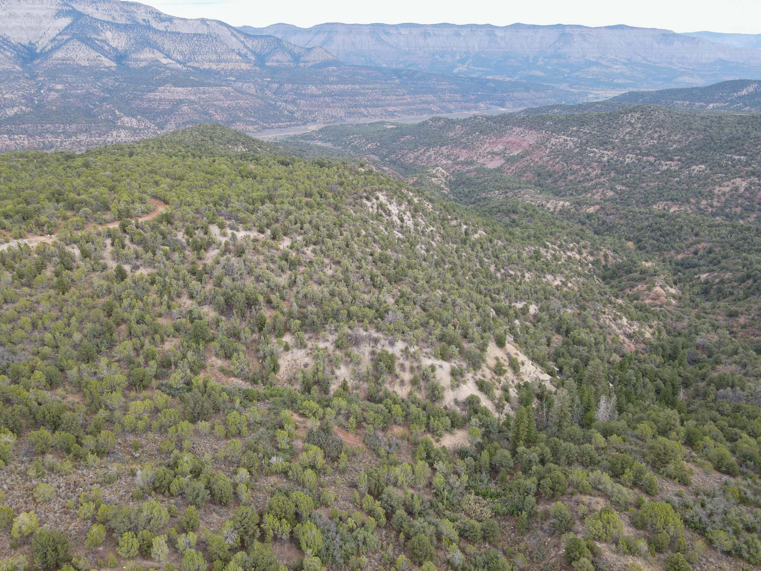 Secluded Colorado Hunting Retreat in GMU #31