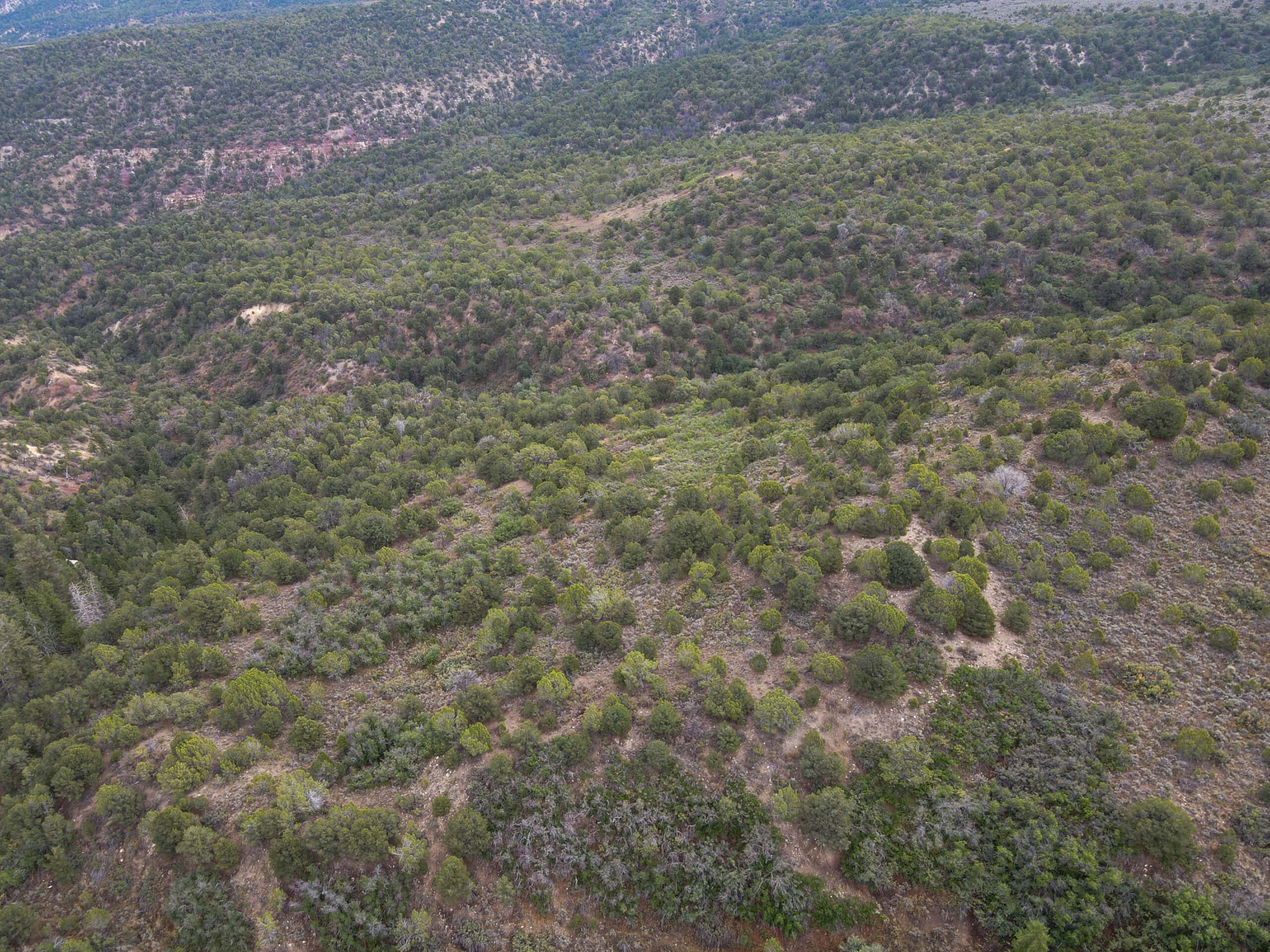 Secluded Colorado Hunting Retreat in GMU #31