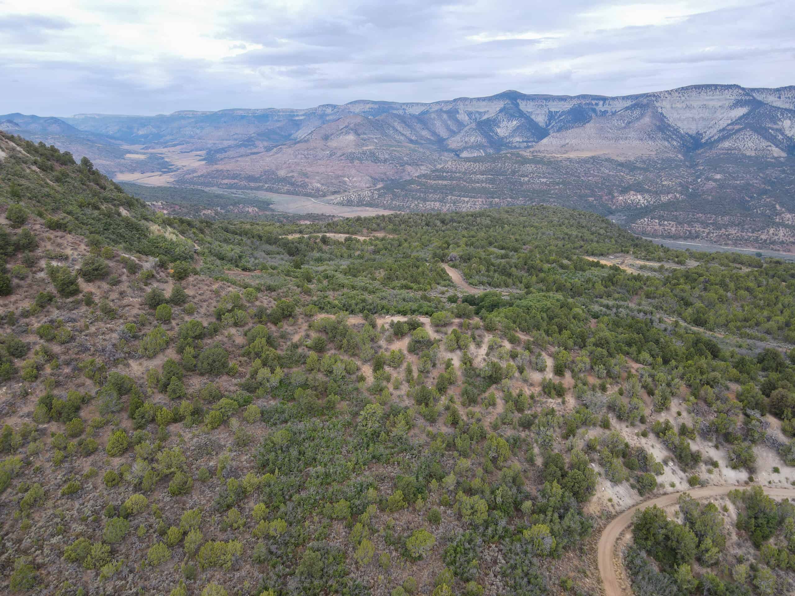 Secluded Colorado Hunting Retreat in GMU #31