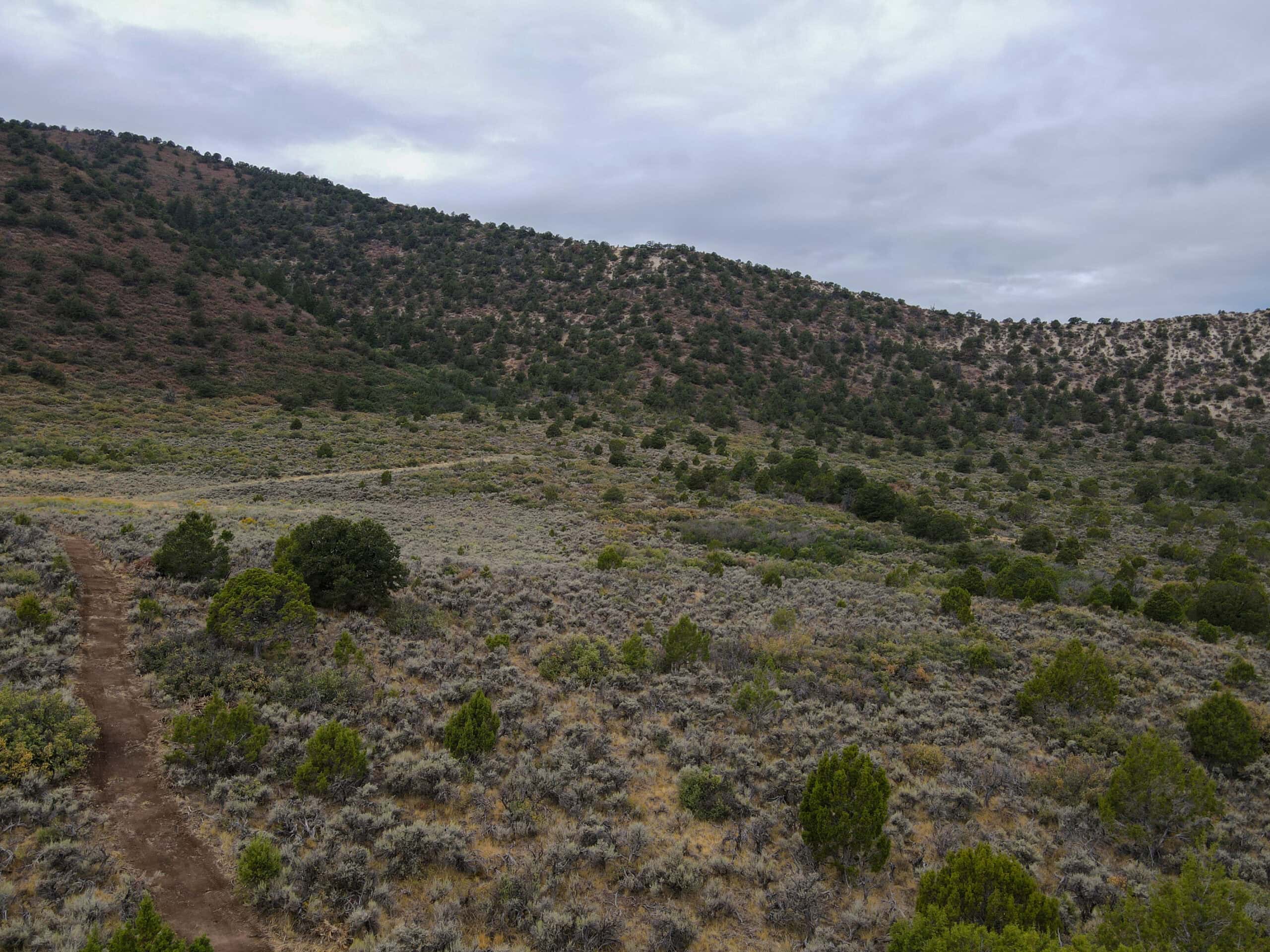 Secluded Colorado Hunting Retreat in GMU #31