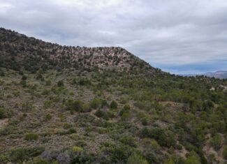 Secluded Colorado Hunting Retreat in GMU #31