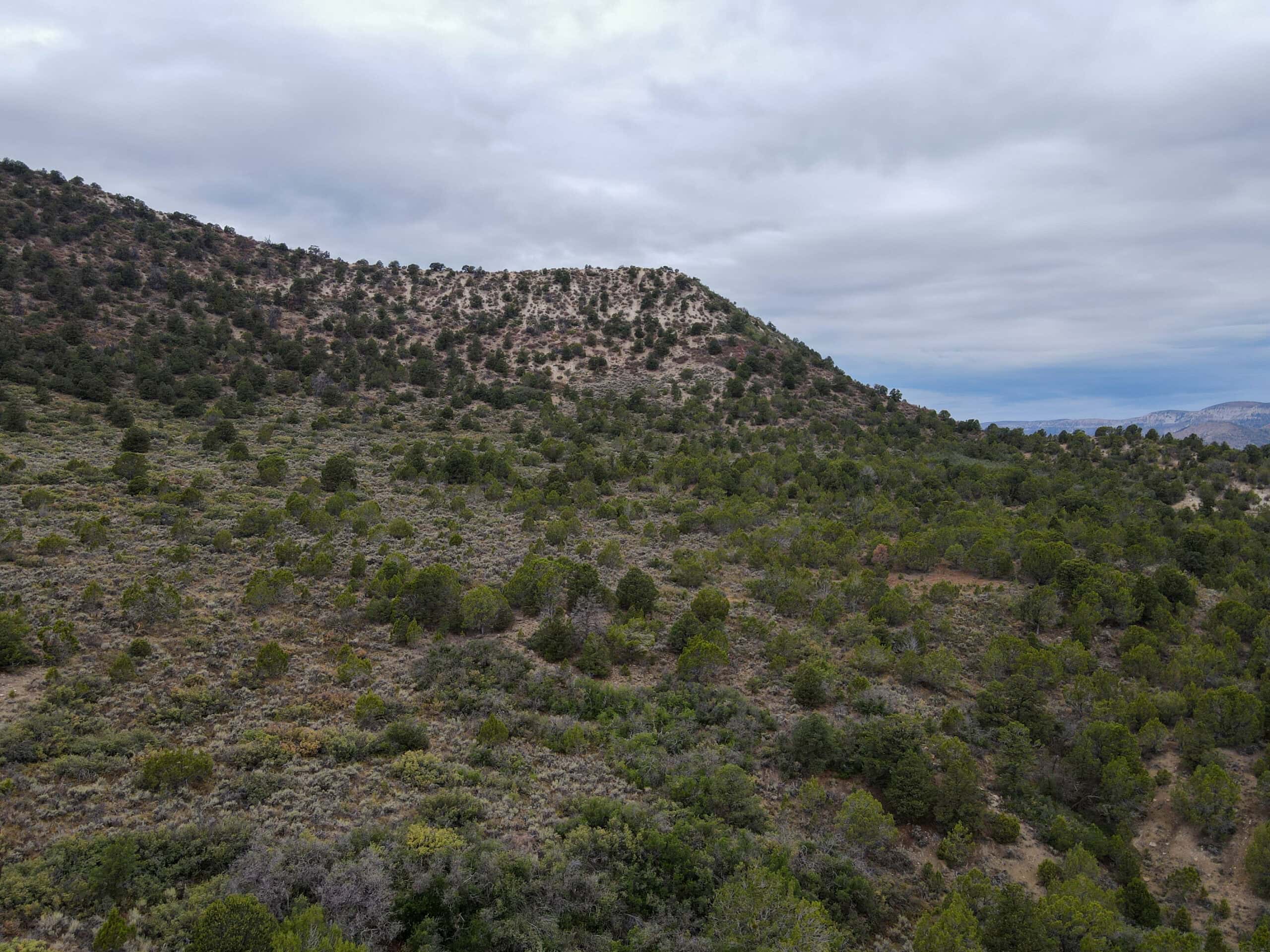 Secluded Colorado Hunting Retreat in GMU #31