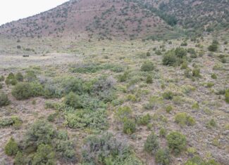 Secluded Colorado Hunting Retreat in GMU #31