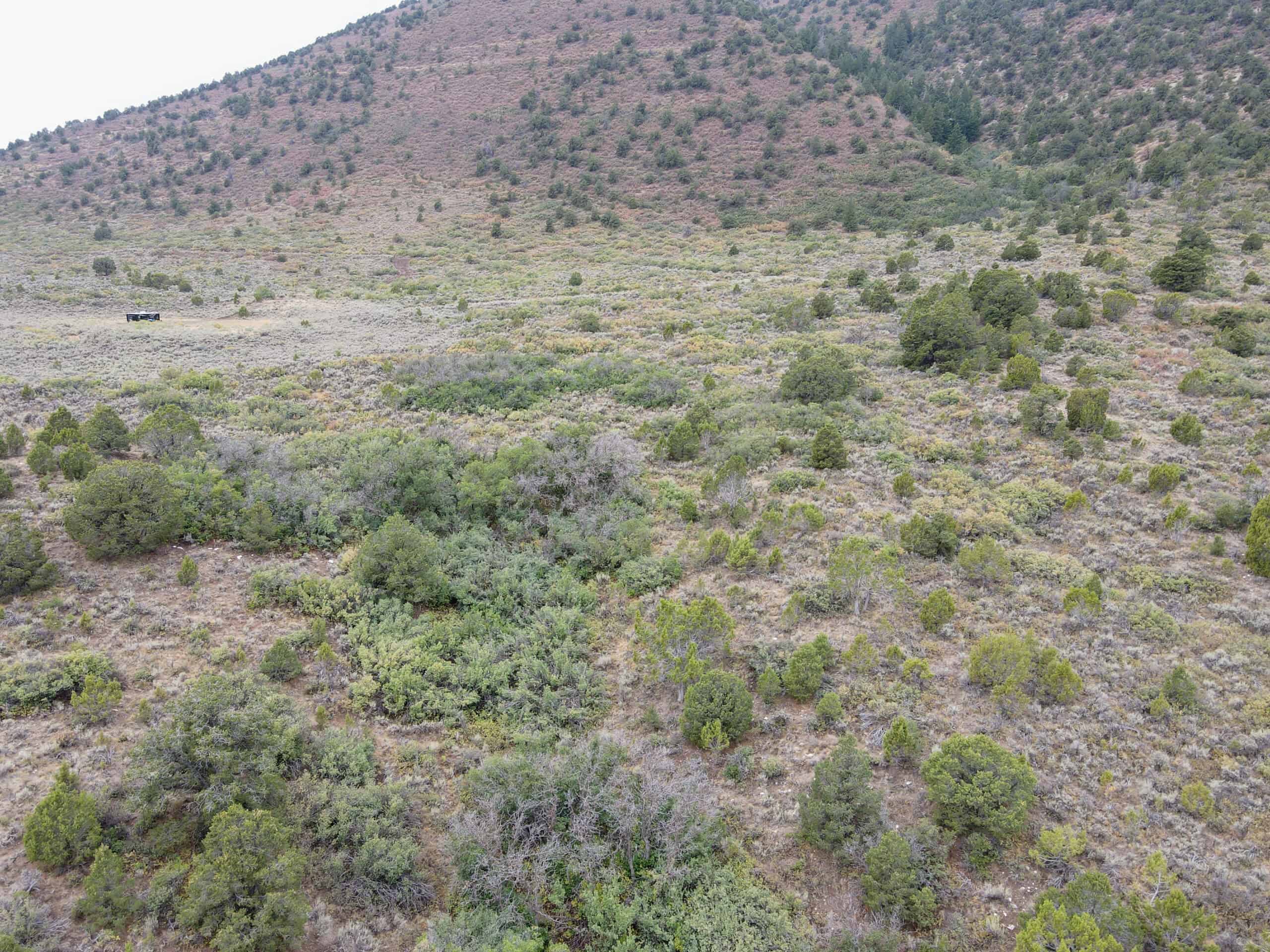 Secluded Colorado Hunting Retreat in GMU #31