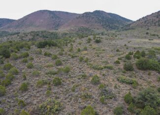Secluded Colorado Hunting Retreat in GMU #31