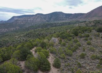 Secluded Colorado Hunting Retreat in GMU #31