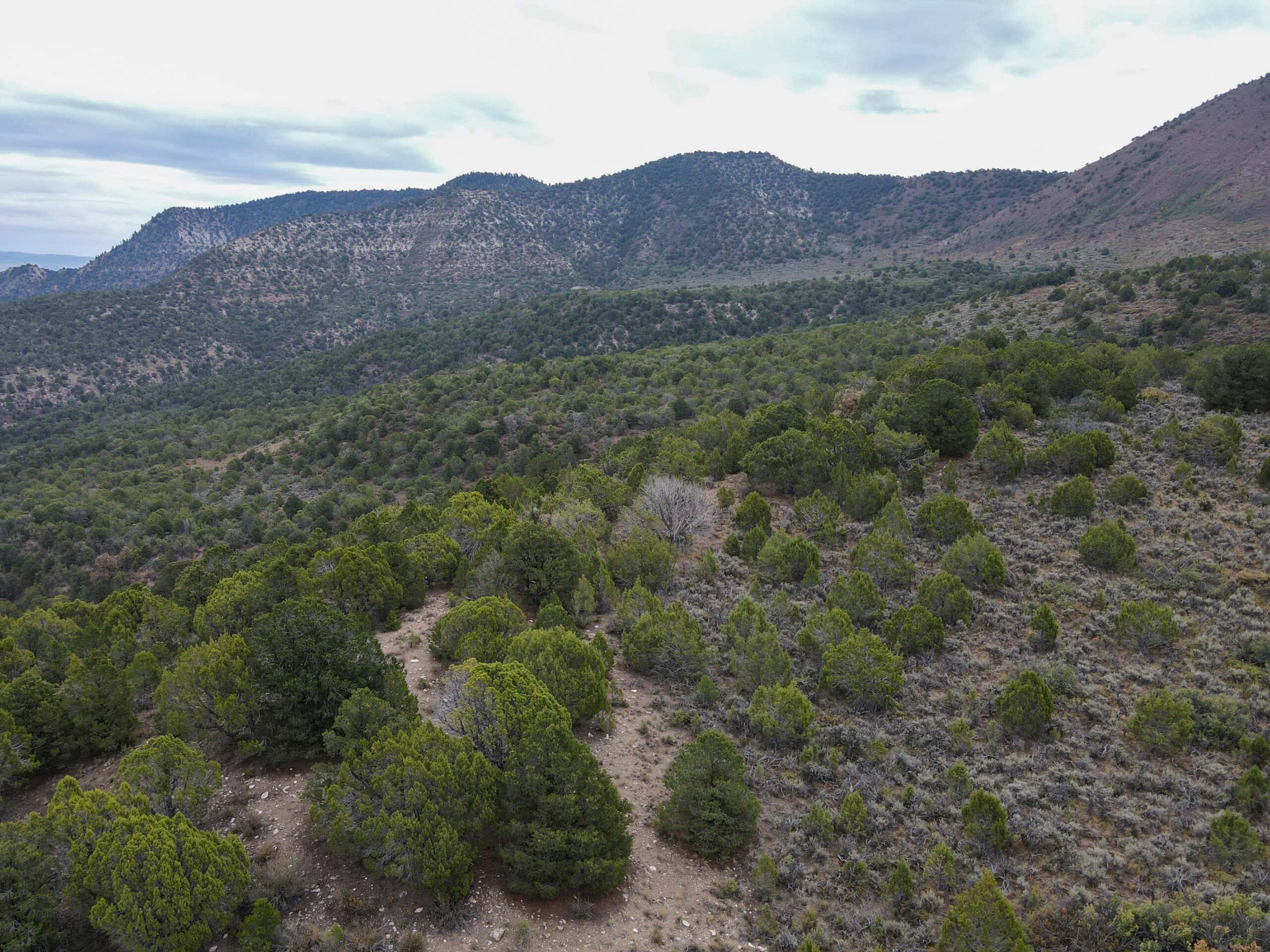 Secluded Colorado Hunting Retreat in GMU #31