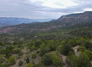Secluded Colorado Hunting Retreat in GMU #31