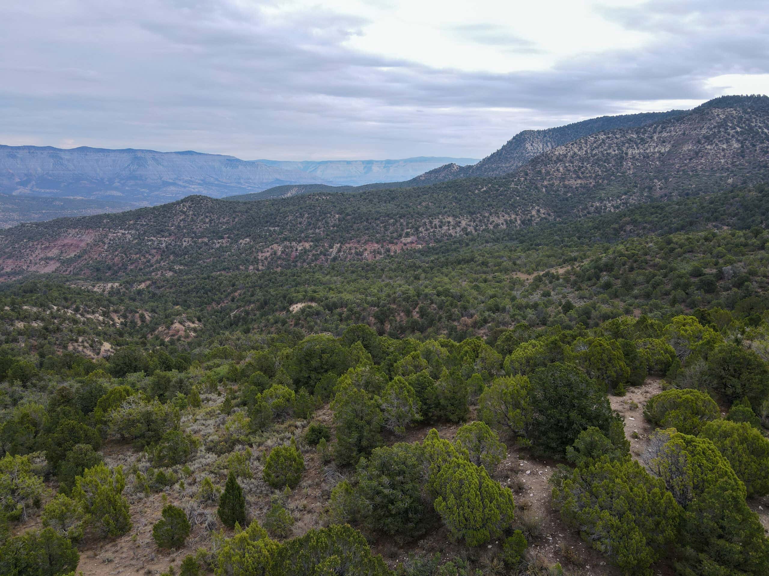 Secluded Colorado Hunting Retreat in GMU #31