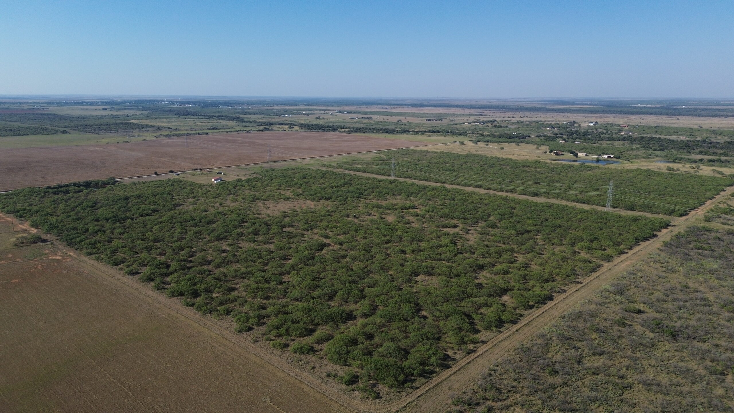 Great location! Hunting and Ranch Land with Residential Potential in Archer County, TX