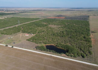 Great location! Hunting and Ranch Land with Residential Potential in Archer County, TX