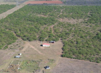 Great location! Hunting and Ranch Land with Residential Potential in Archer County, TX