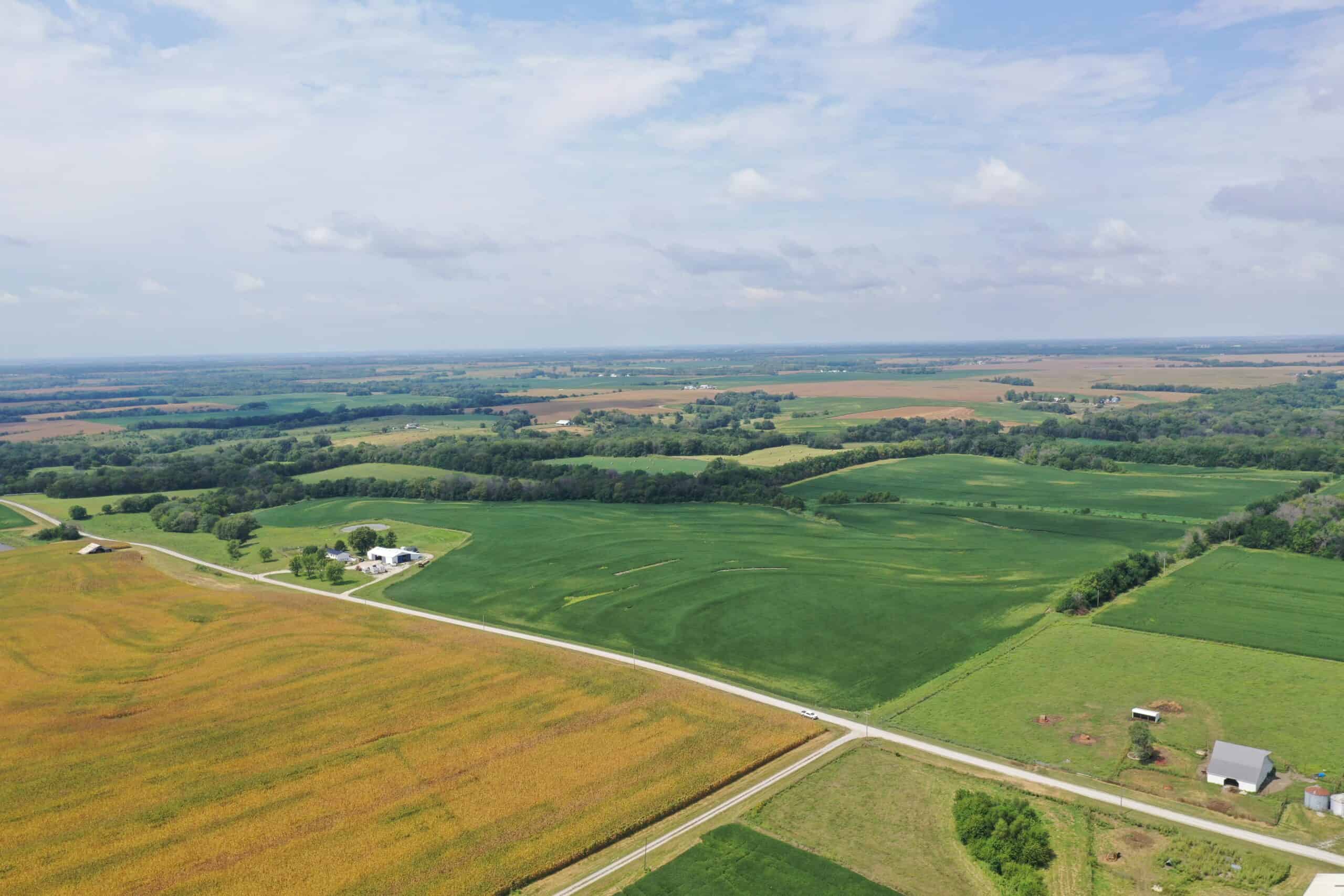 Brad & Tammy Bowles Auction