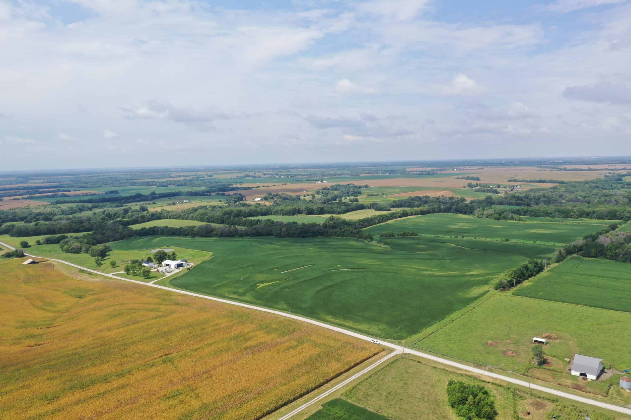 Brad & Tammy Bowles Auction