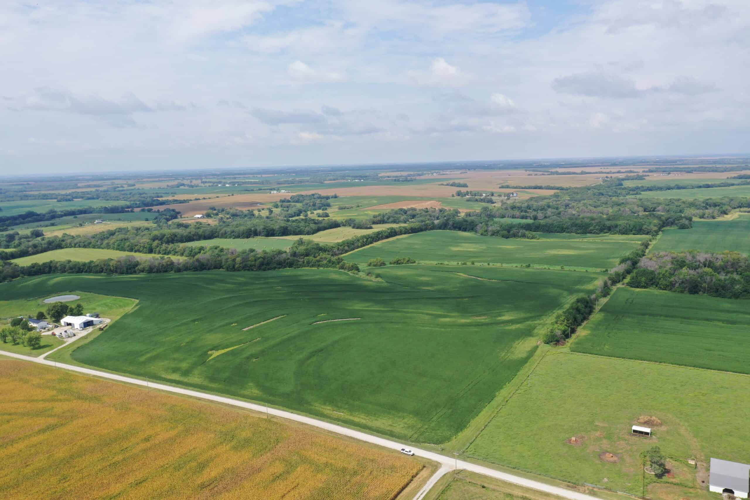 Brad & Tammy Bowles Auction