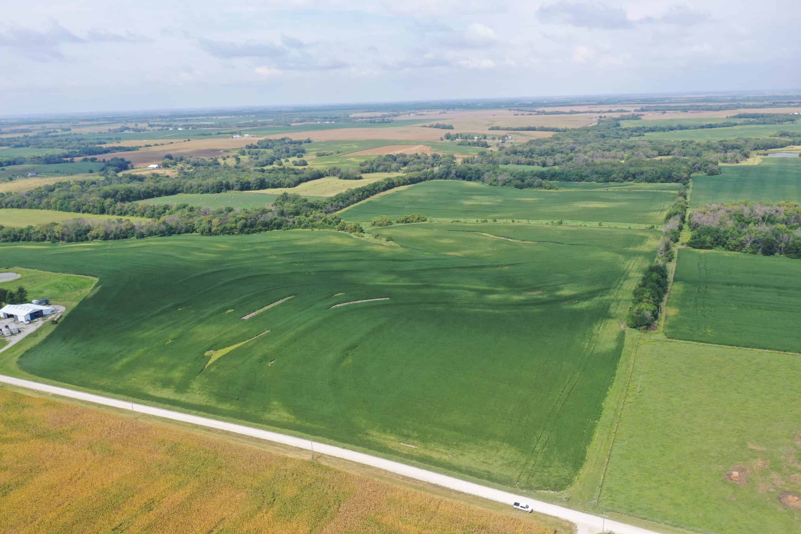 Brad & Tammy Bowles Auction